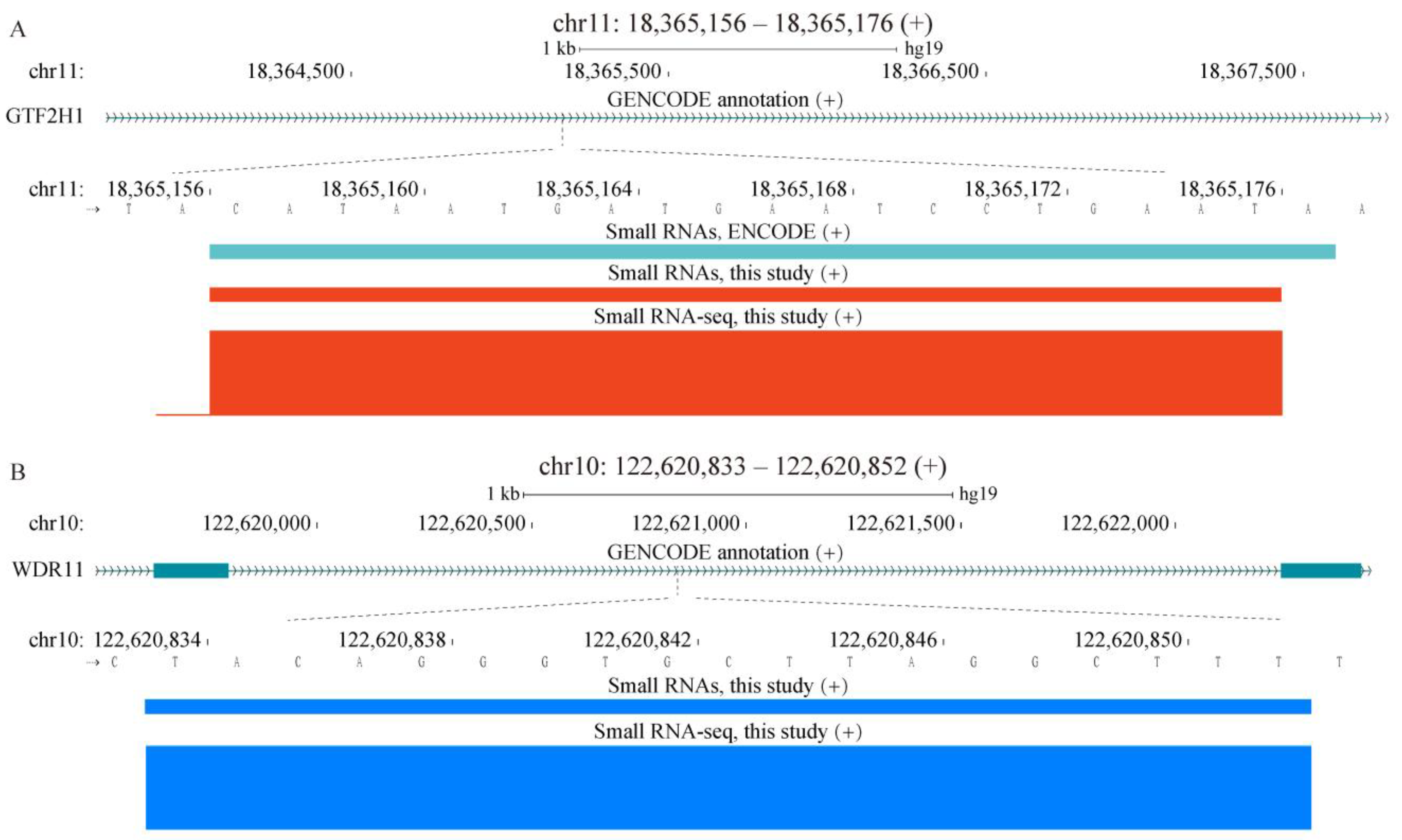 Ijms 24 04163 g004 Ijms 24 04163 g004