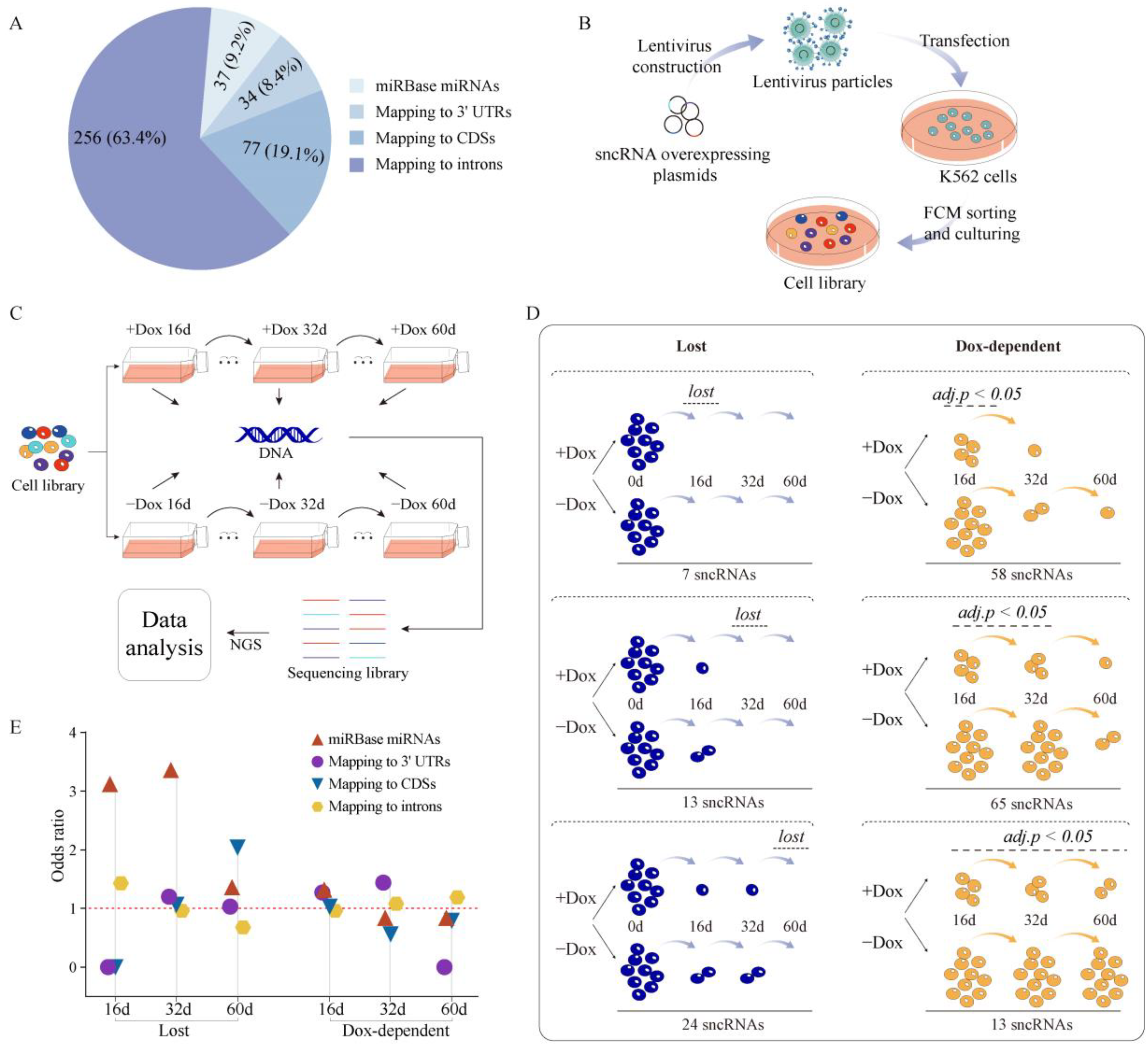 Ijms 24 04163 g006 Ijms 24 04163 g006