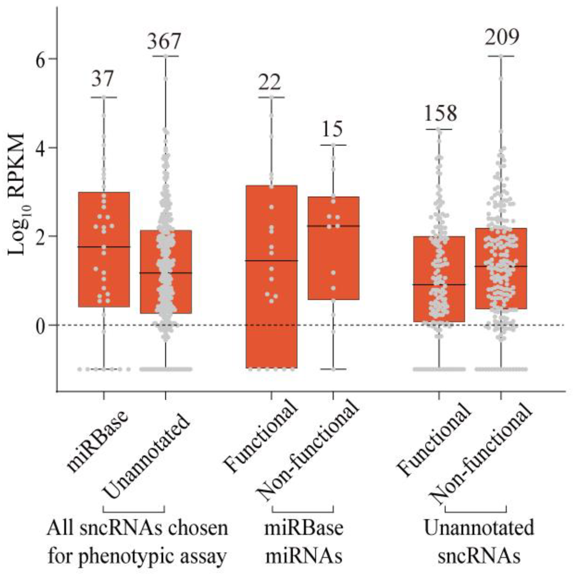 Ijms 24 04163 g007 Ijms 24 04163 g007