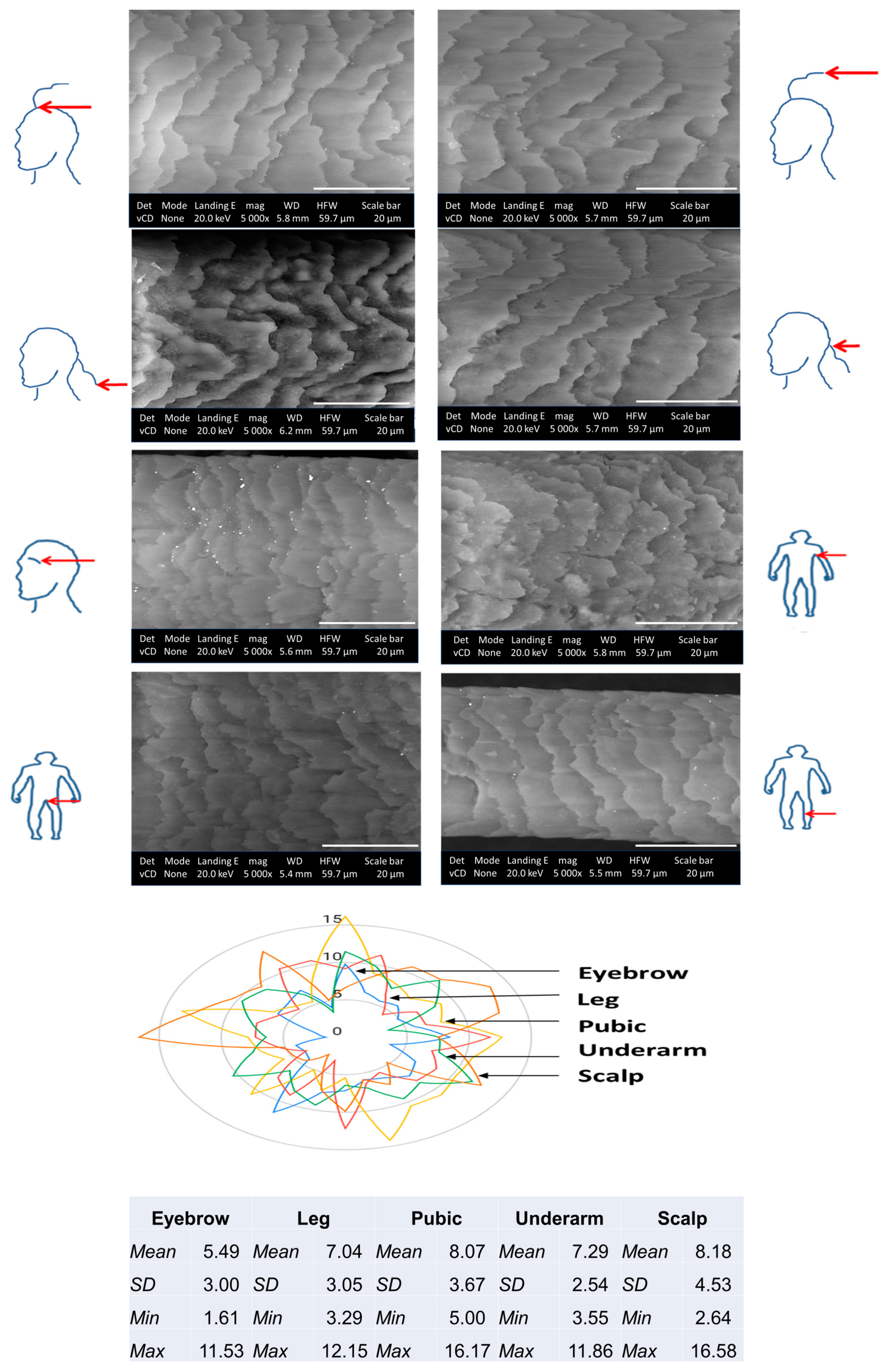 Ijms 24 04166 g007 Ijms 24 04166 g007
