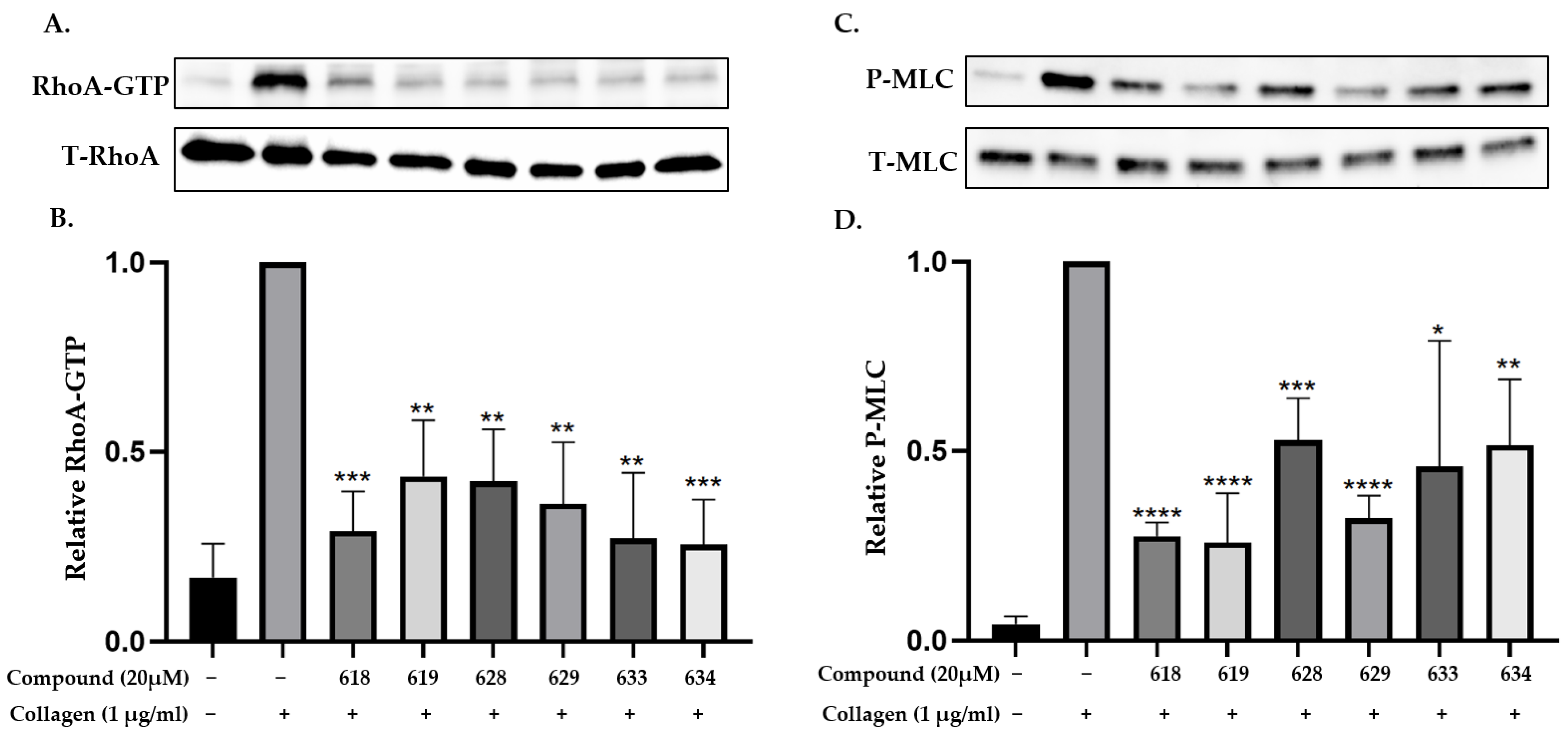Ijms 24 04167 g002 Ijms 24 04167 g002