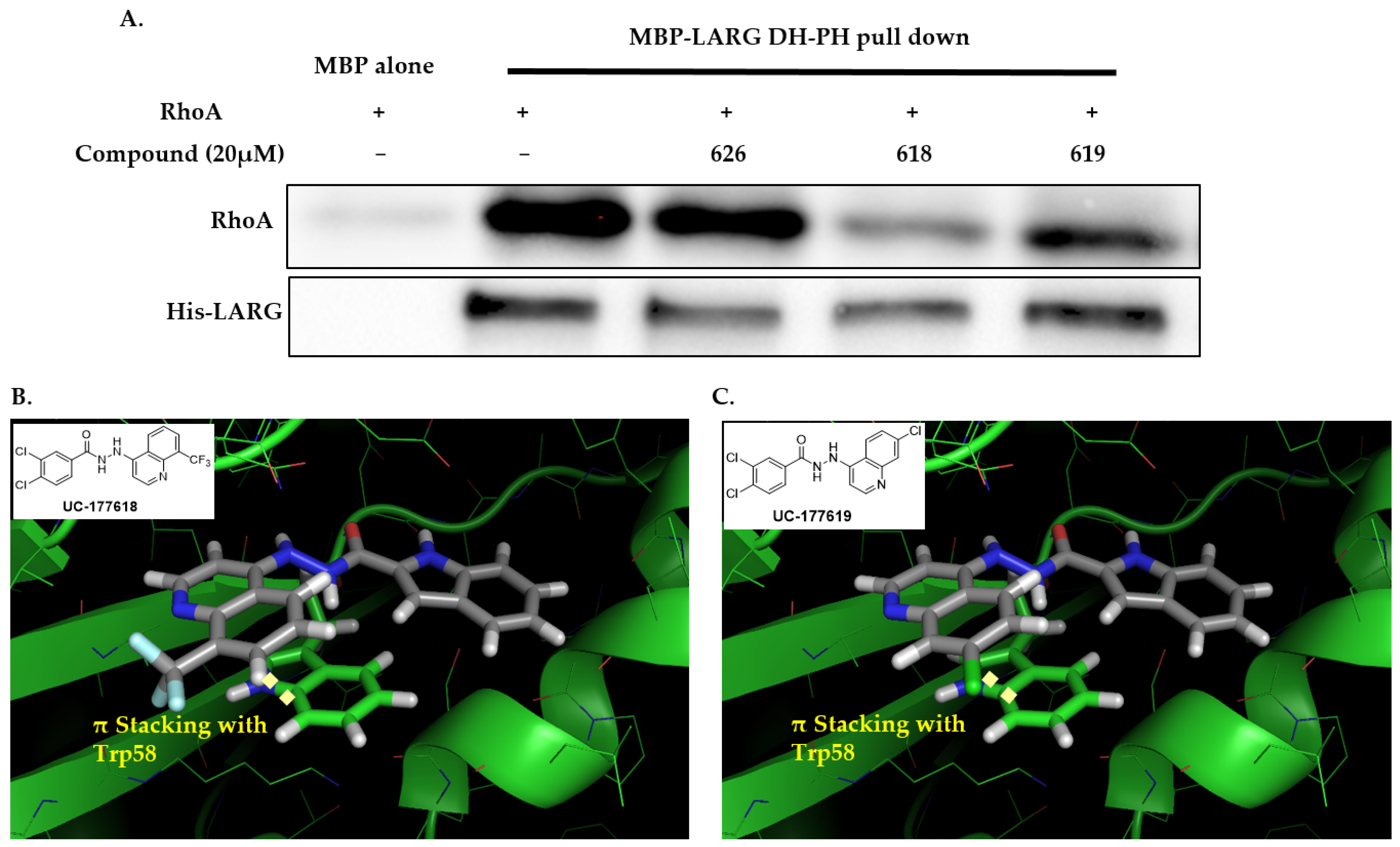 Ijms 24 04167 g003 Ijms 24 04167 g003