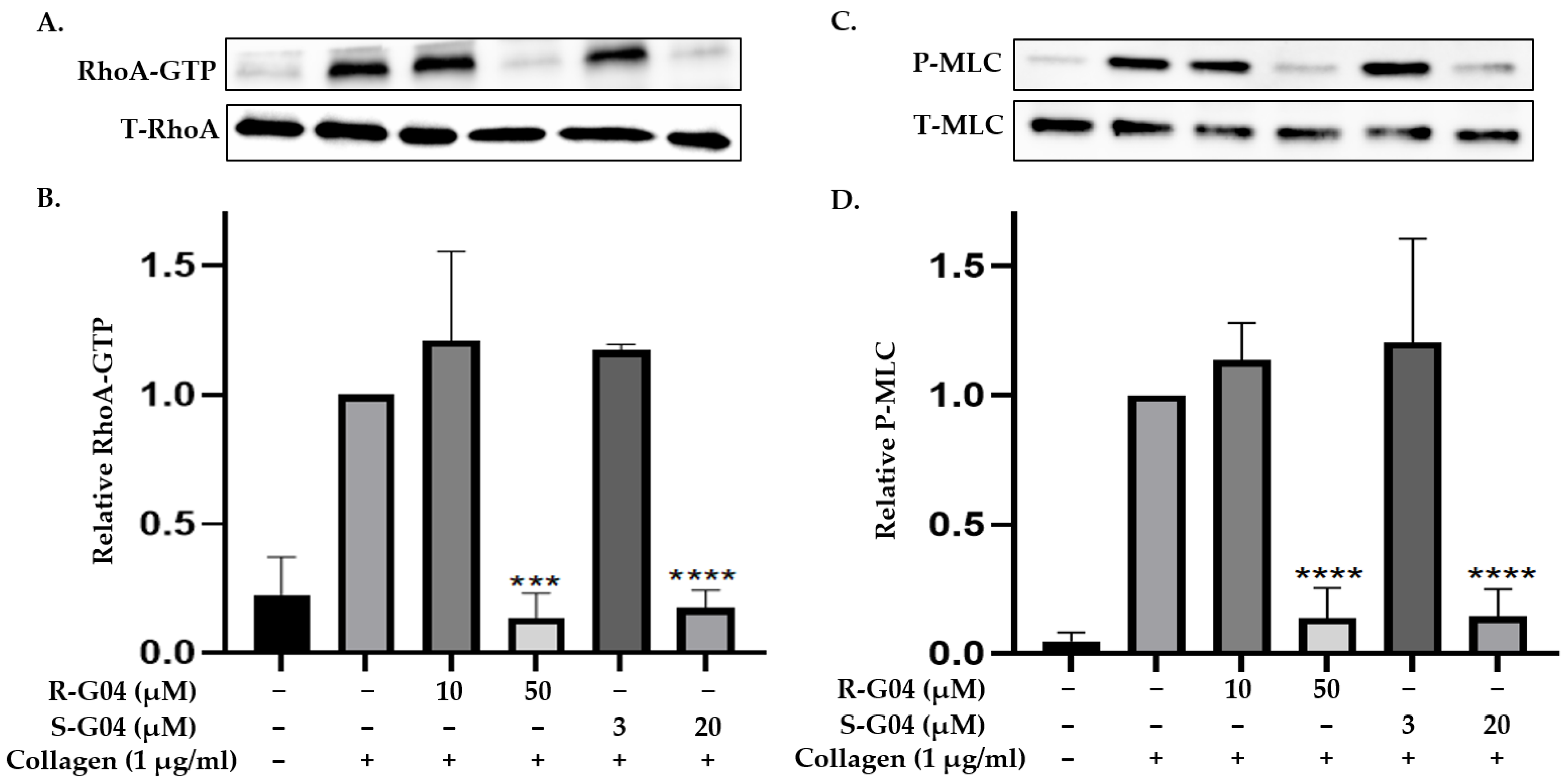 Ijms 24 04167 g005 Ijms 24 04167 g005
