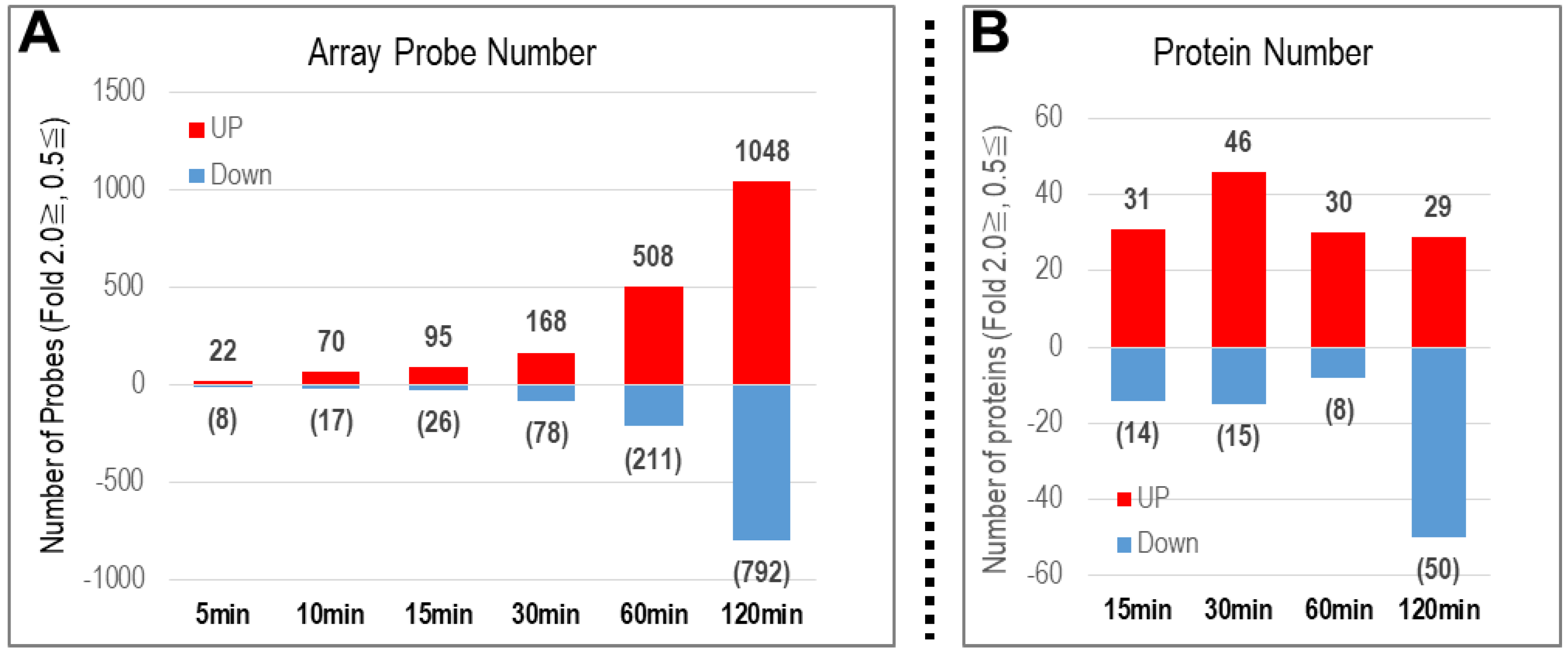 Ijms 24 04169 g002 Ijms 24 04169 g002