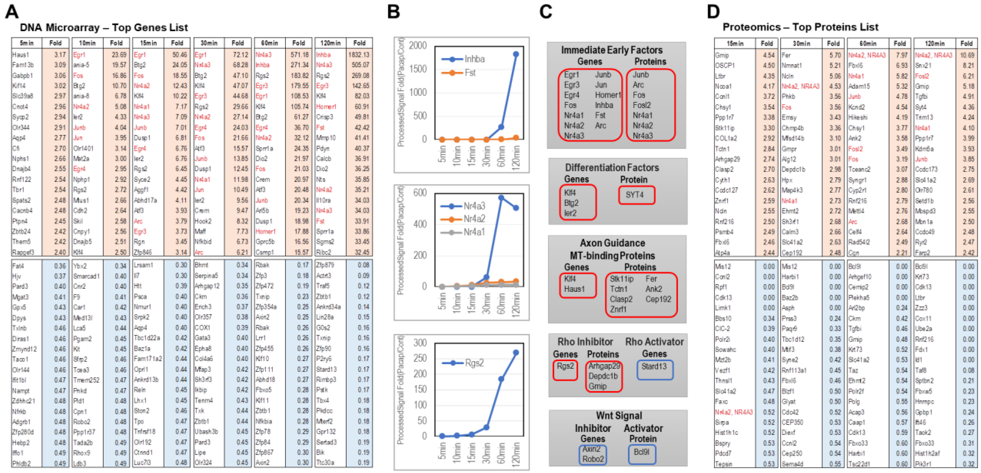 Ijms 24 04169 g005 Ijms 24 04169 g005