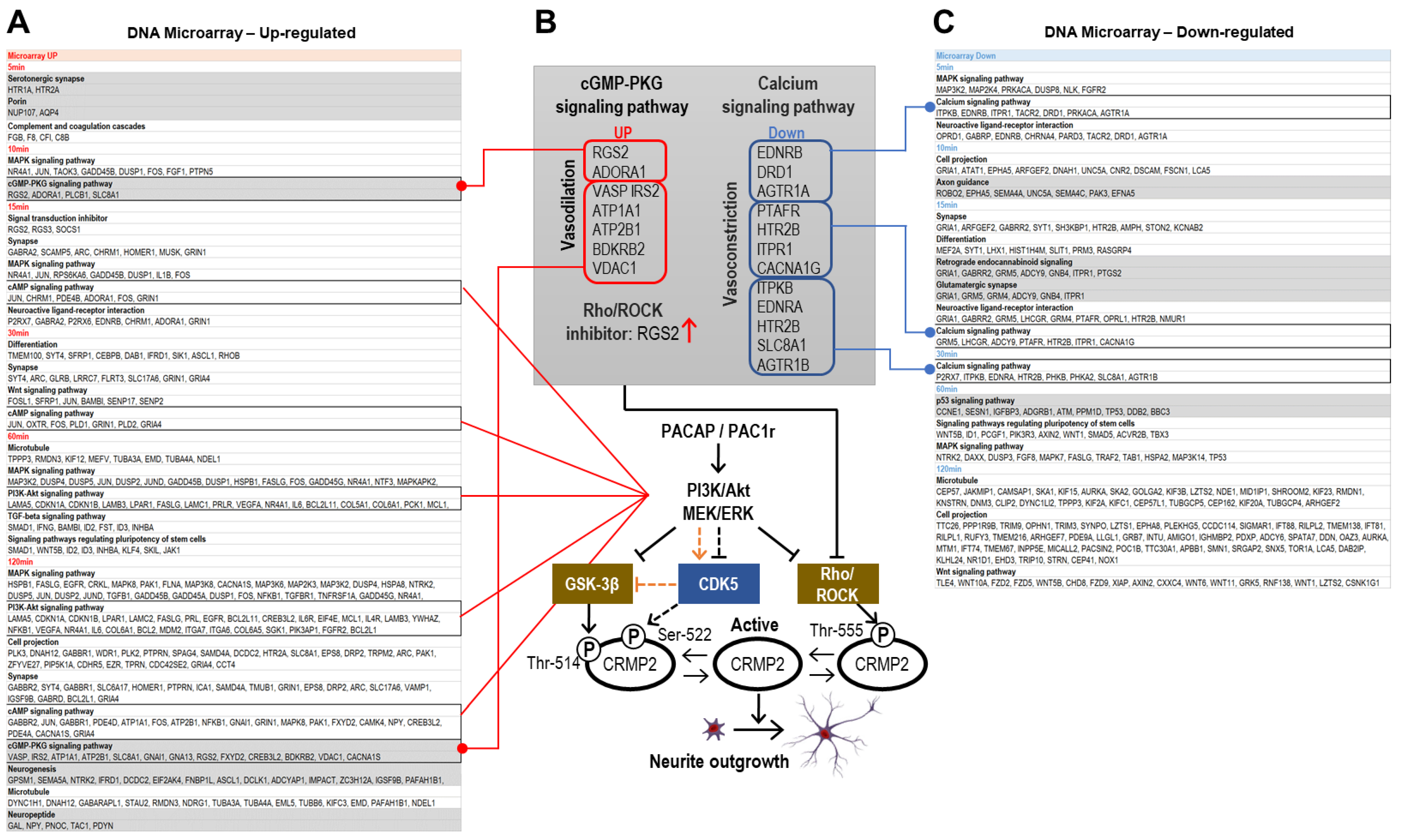 Ijms 24 04169 g006 Ijms 24 04169 g006