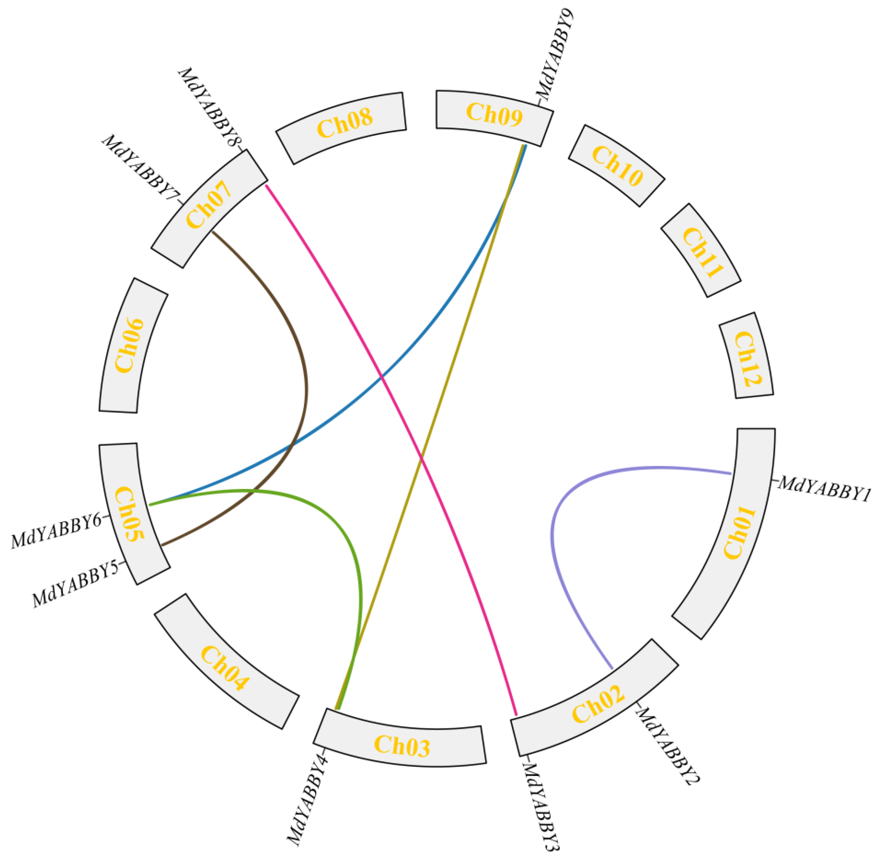 Ijms 24 04174 g001 Ijms 24 04174 g001