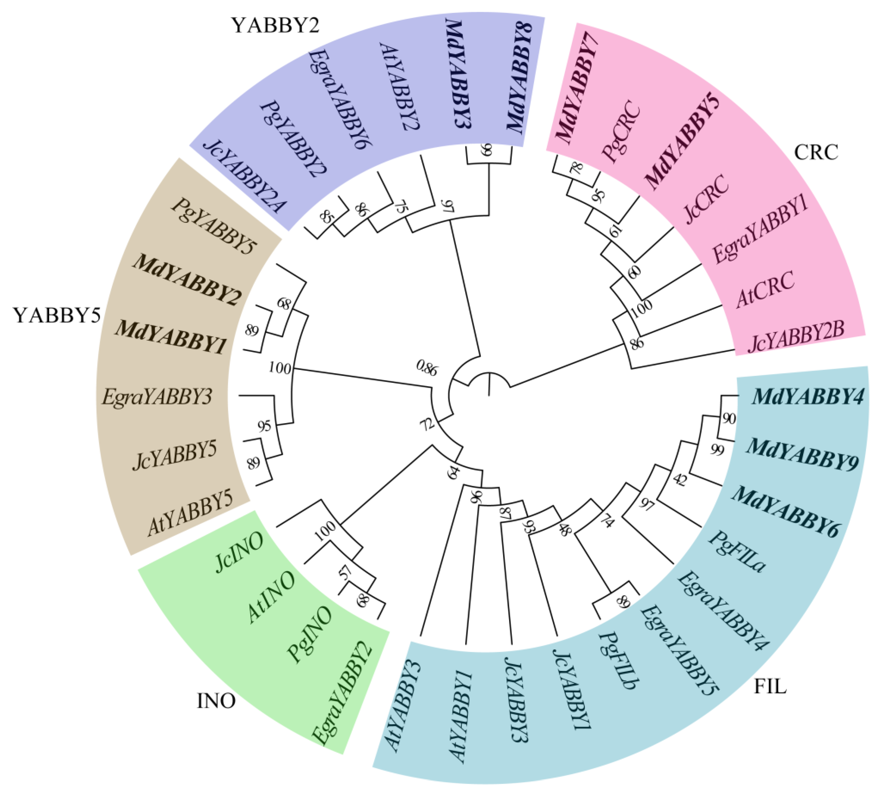 Ijms 24 04174 g002 Ijms 24 04174 g002