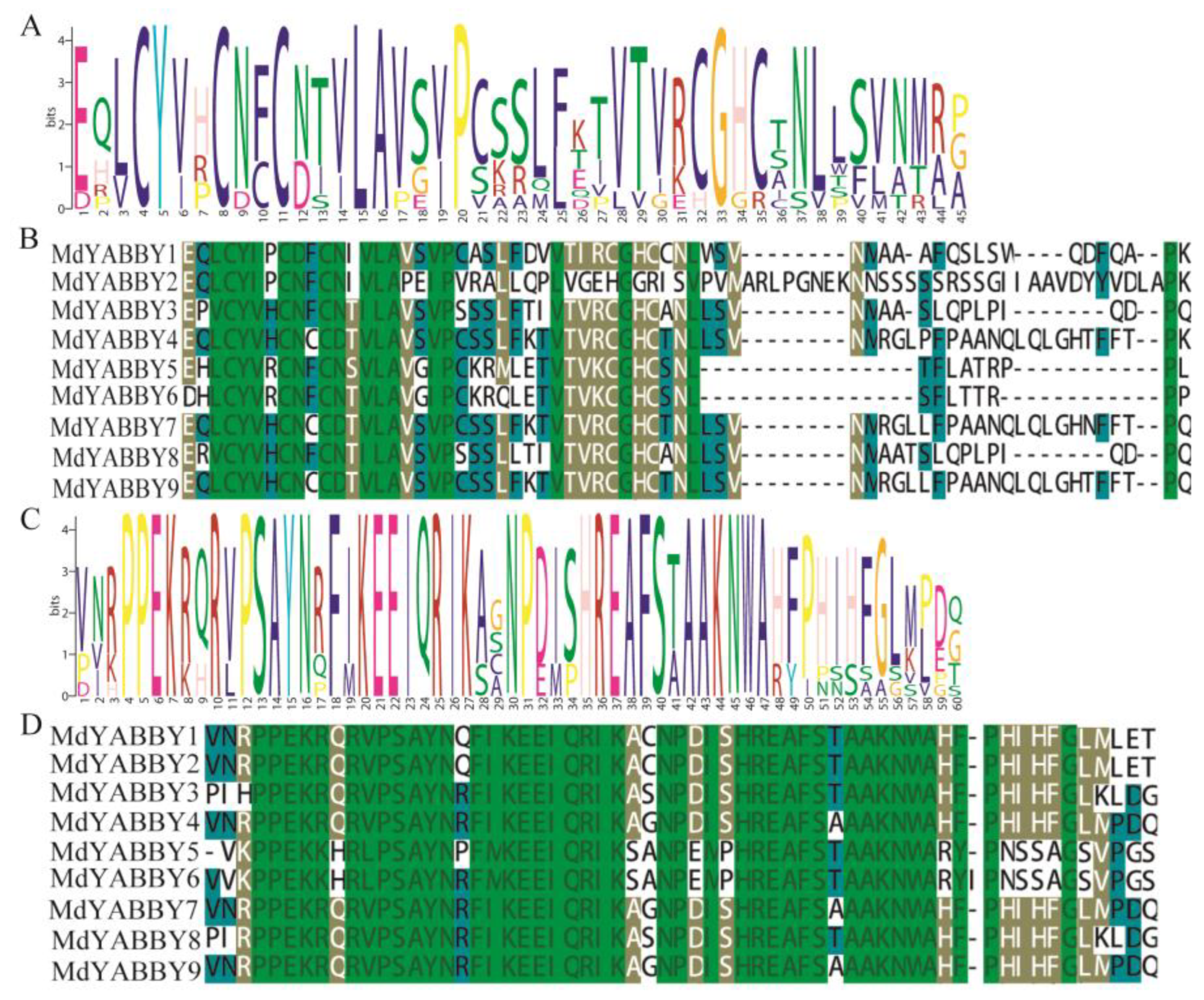 Ijms 24 04174 g003 Ijms 24 04174 g003