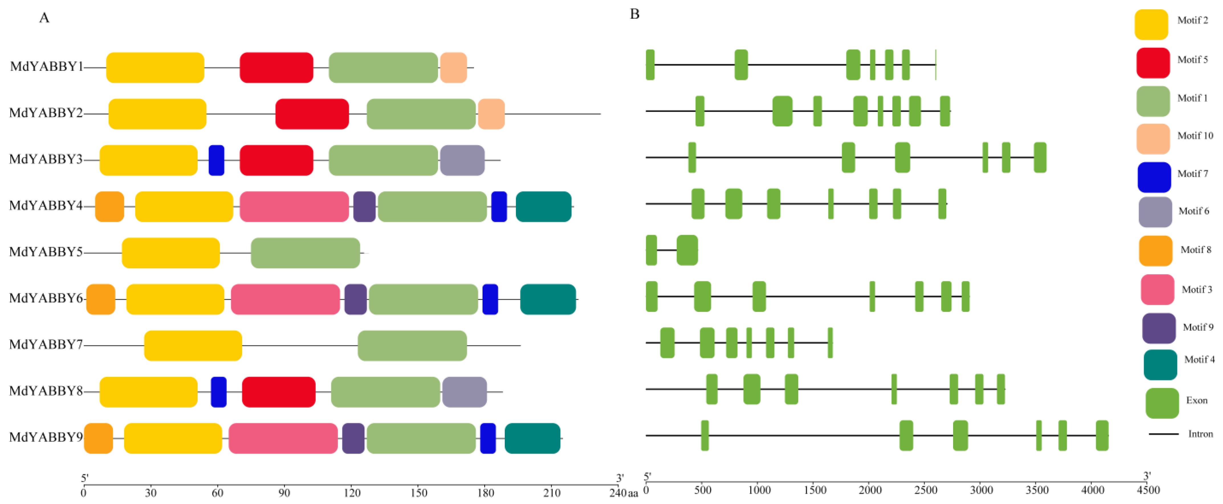 Ijms 24 04174 g004 Ijms 24 04174 g004