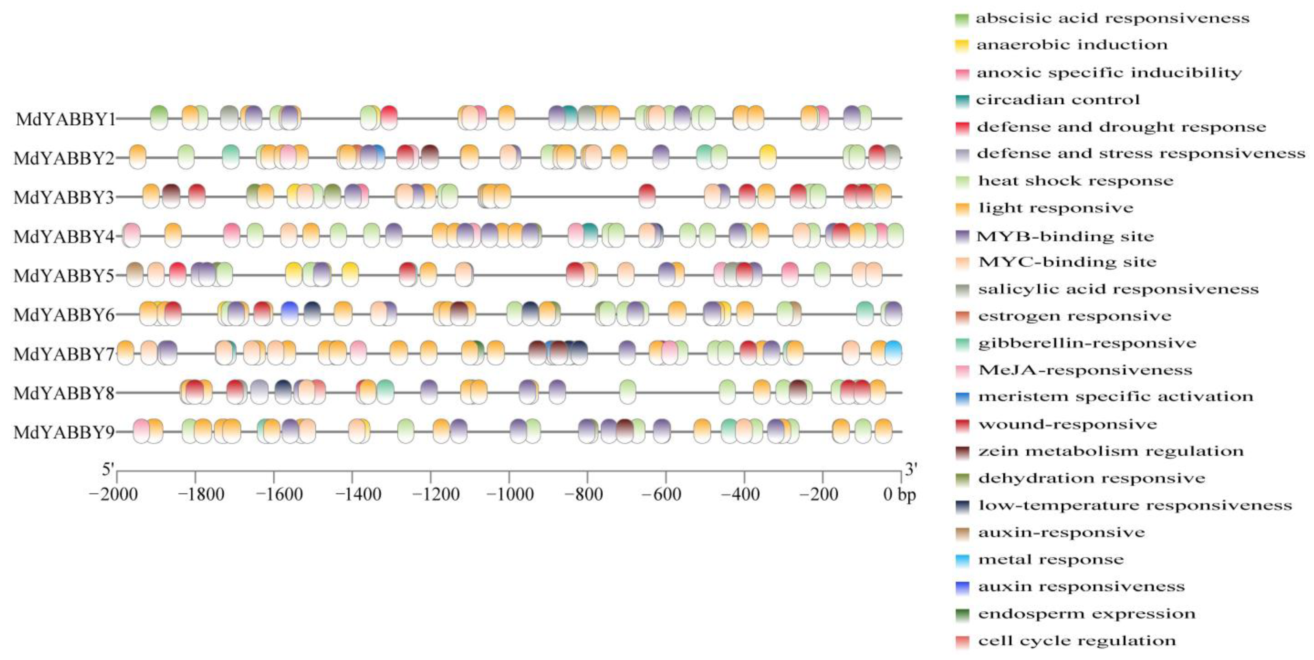 Ijms 24 04174 g005 Ijms 24 04174 g005