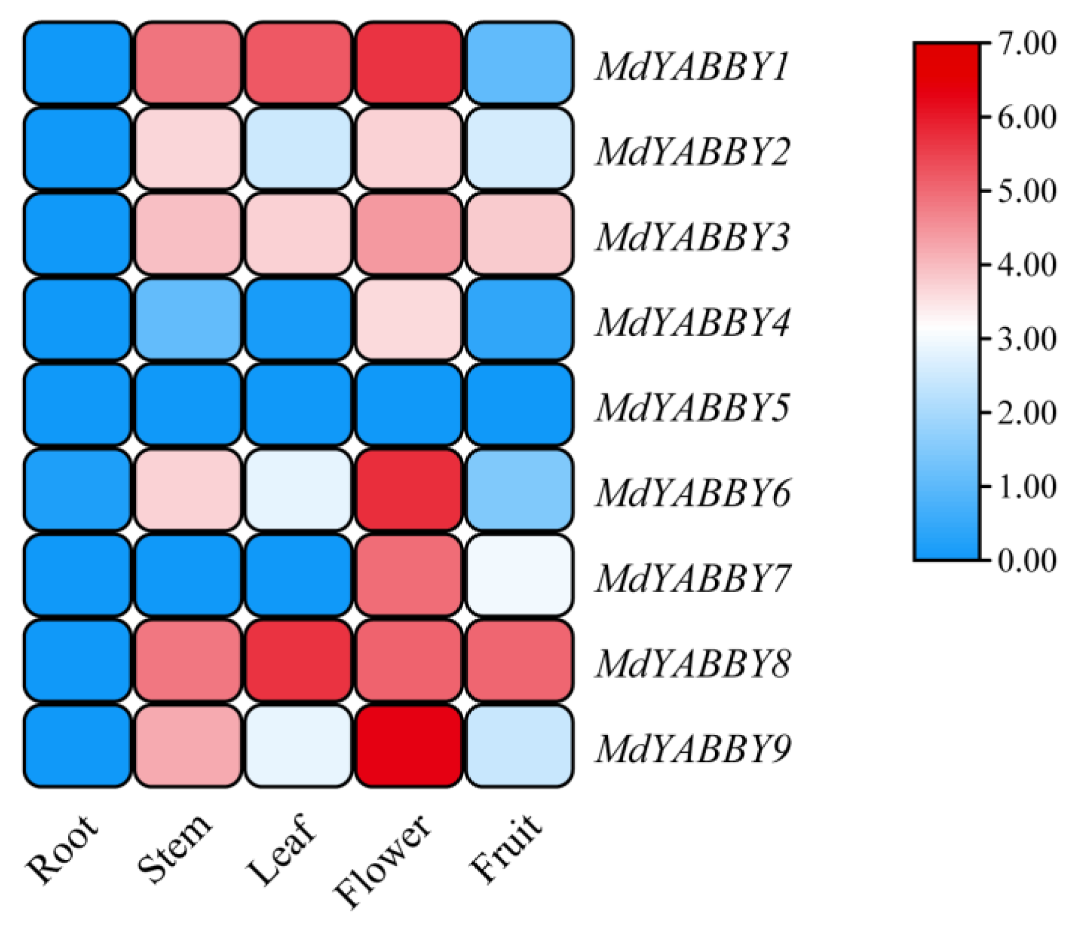 Ijms 24 04174 g007 Ijms 24 04174 g007