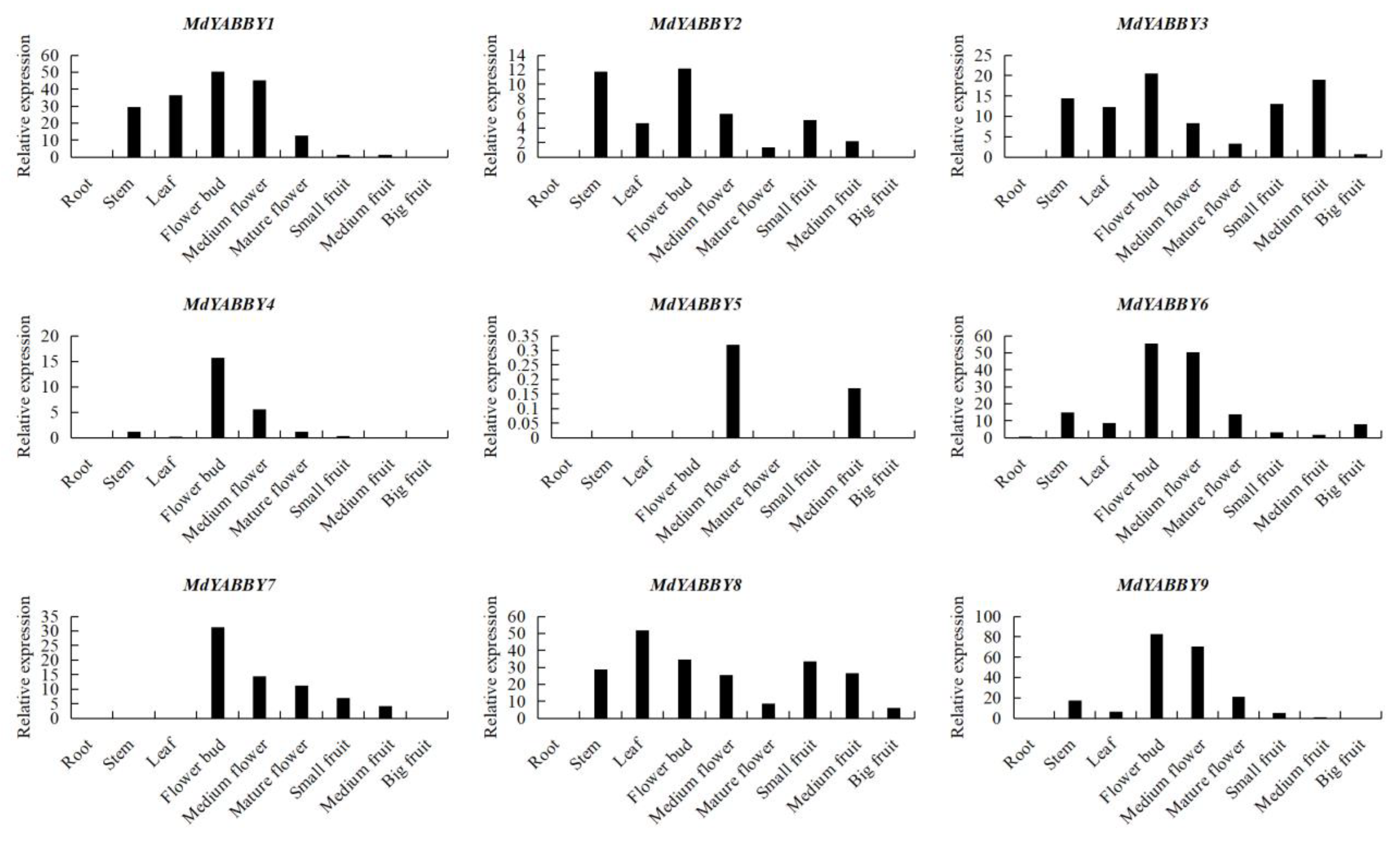 Ijms 24 04174 g008 Ijms 24 04174 g008