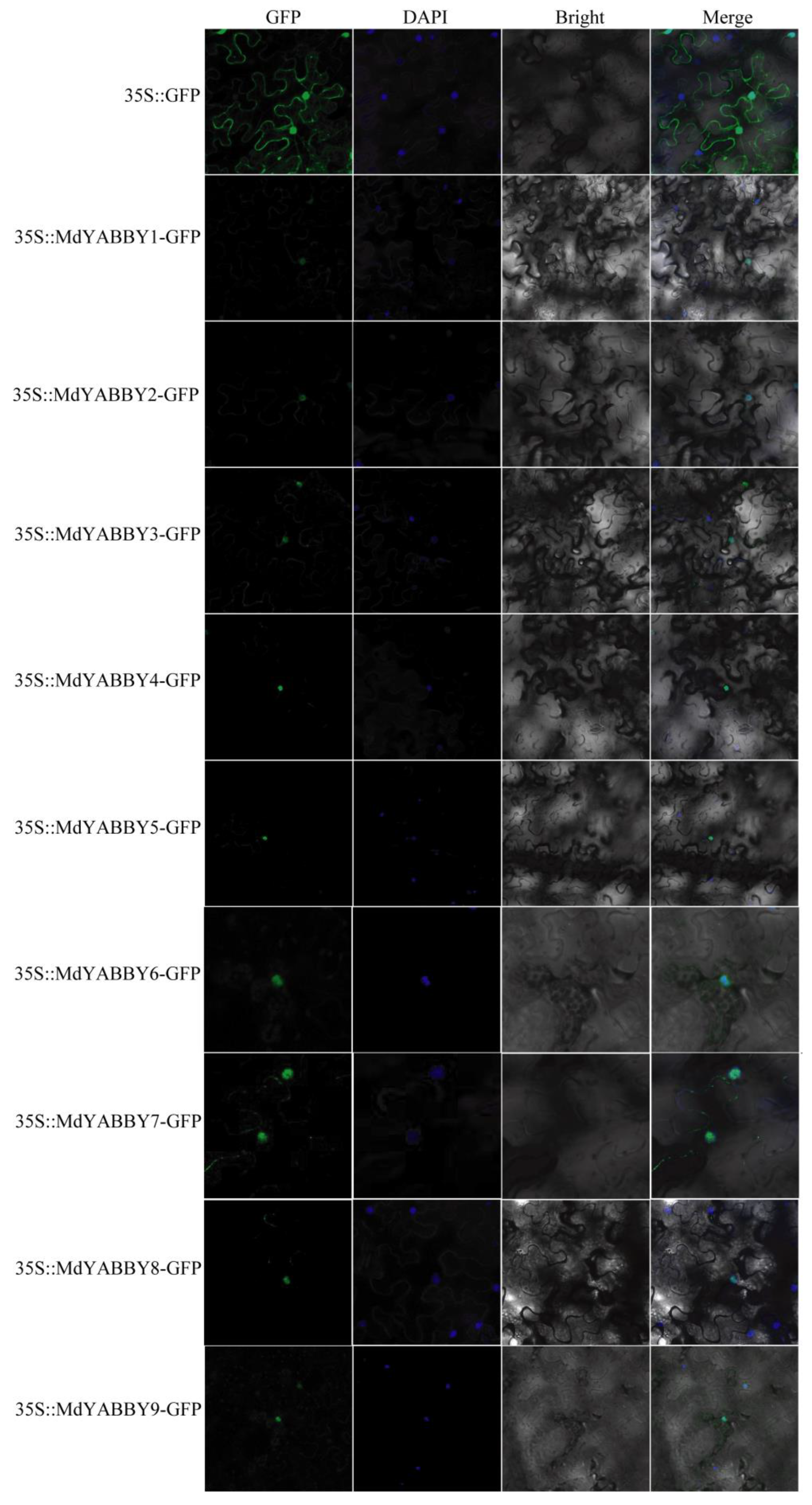 Ijms 24 04174 g009 Ijms 24 04174 g009