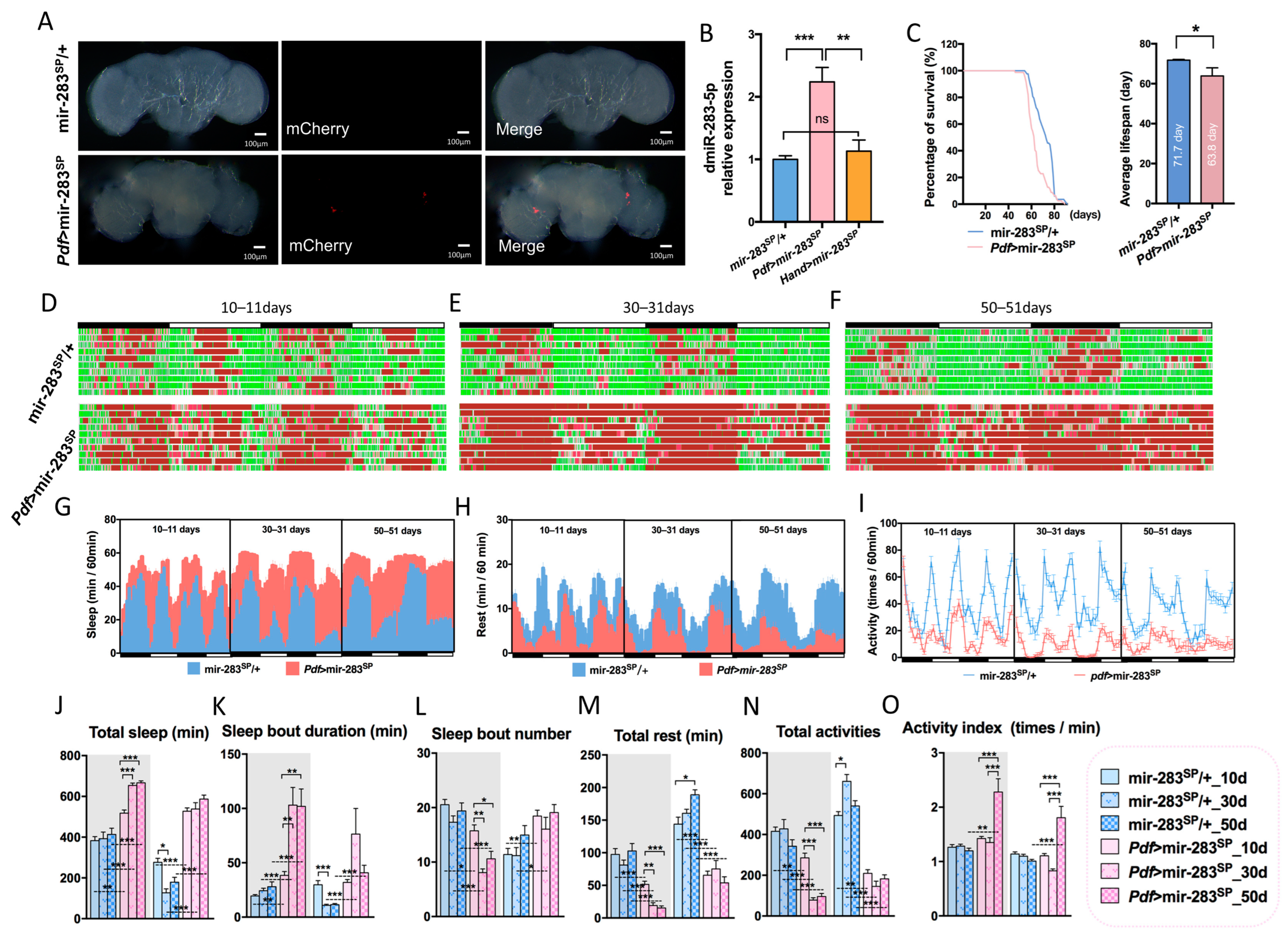 Ijms 24 04180 g003 Ijms 24 04180 g003