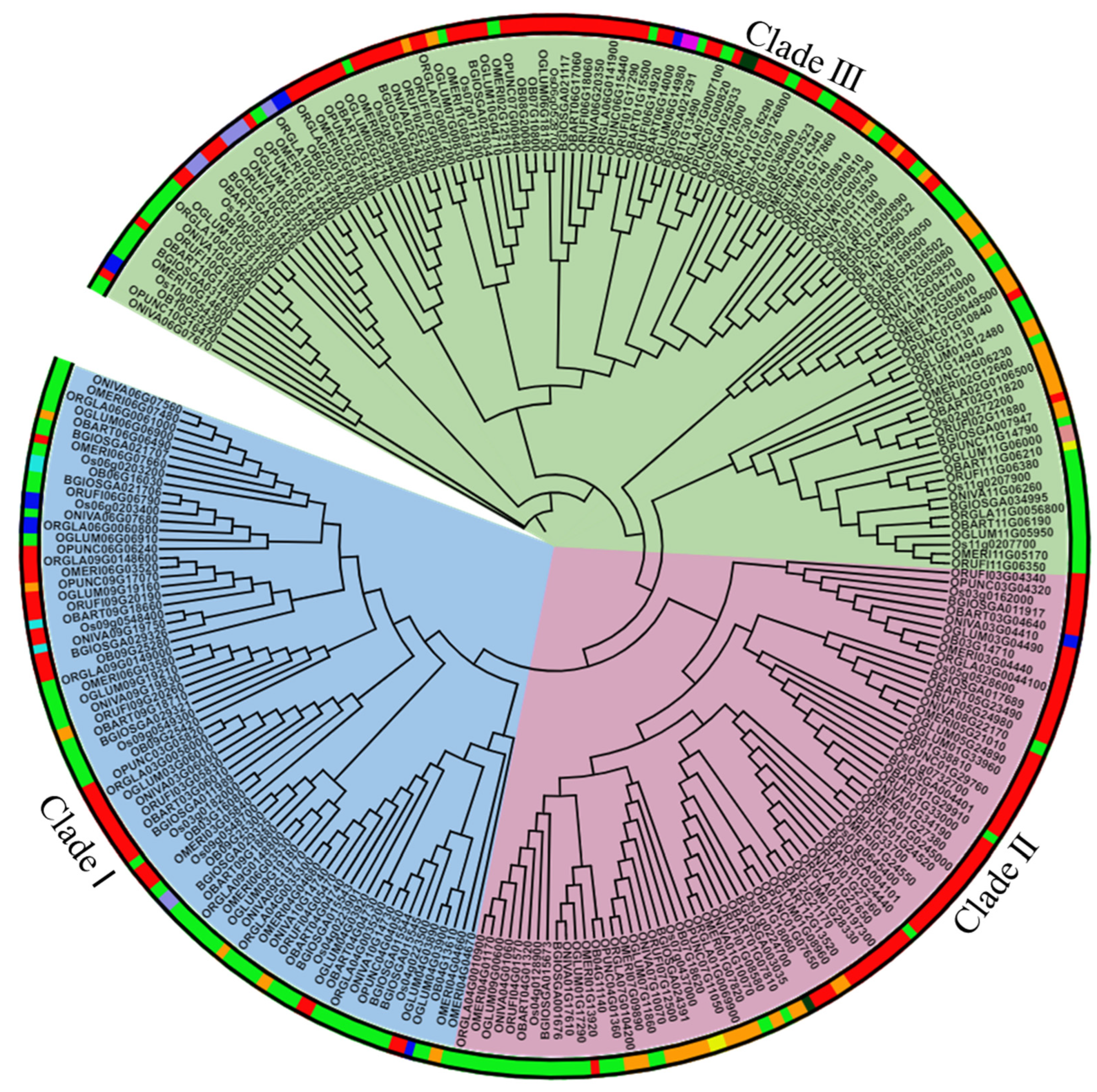 Ijms 24 04190 g002 Ijms 24 04190 g002