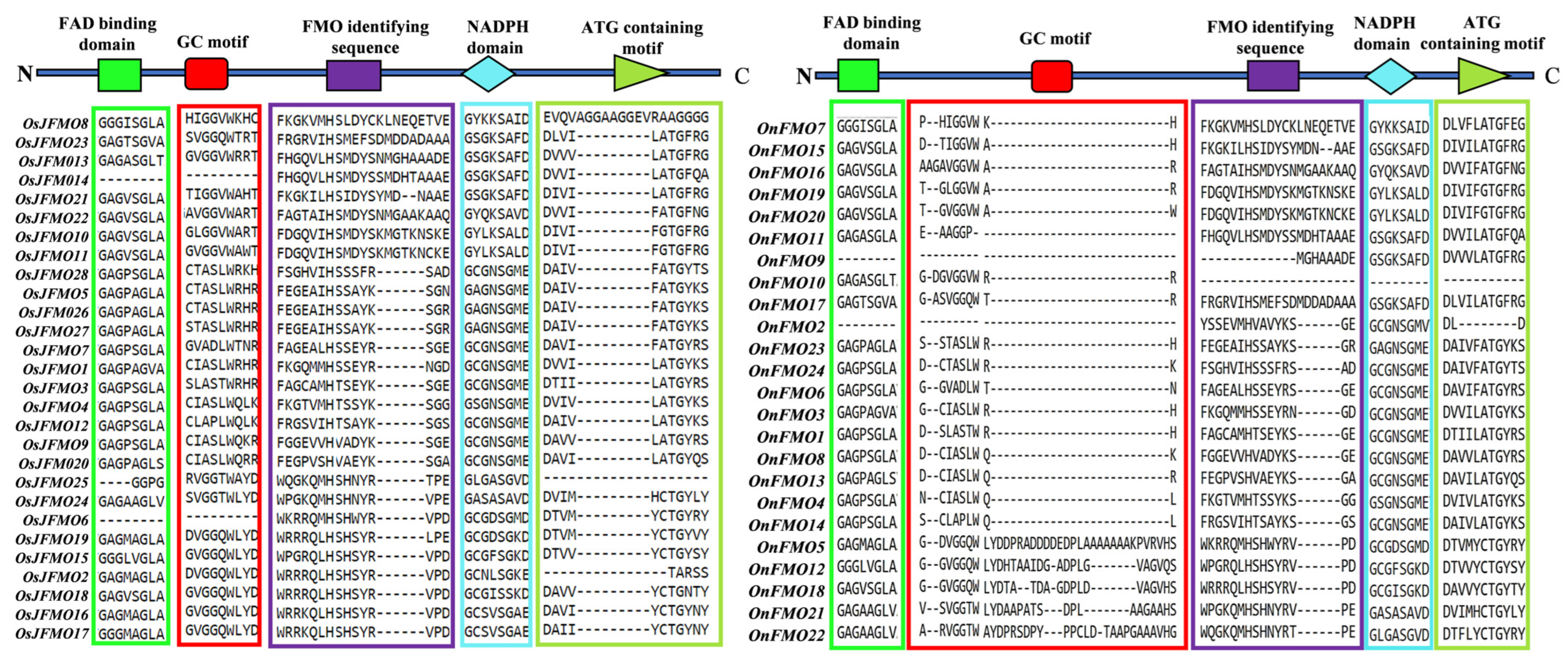 Ijms 24 04190 g003 Ijms 24 04190 g003