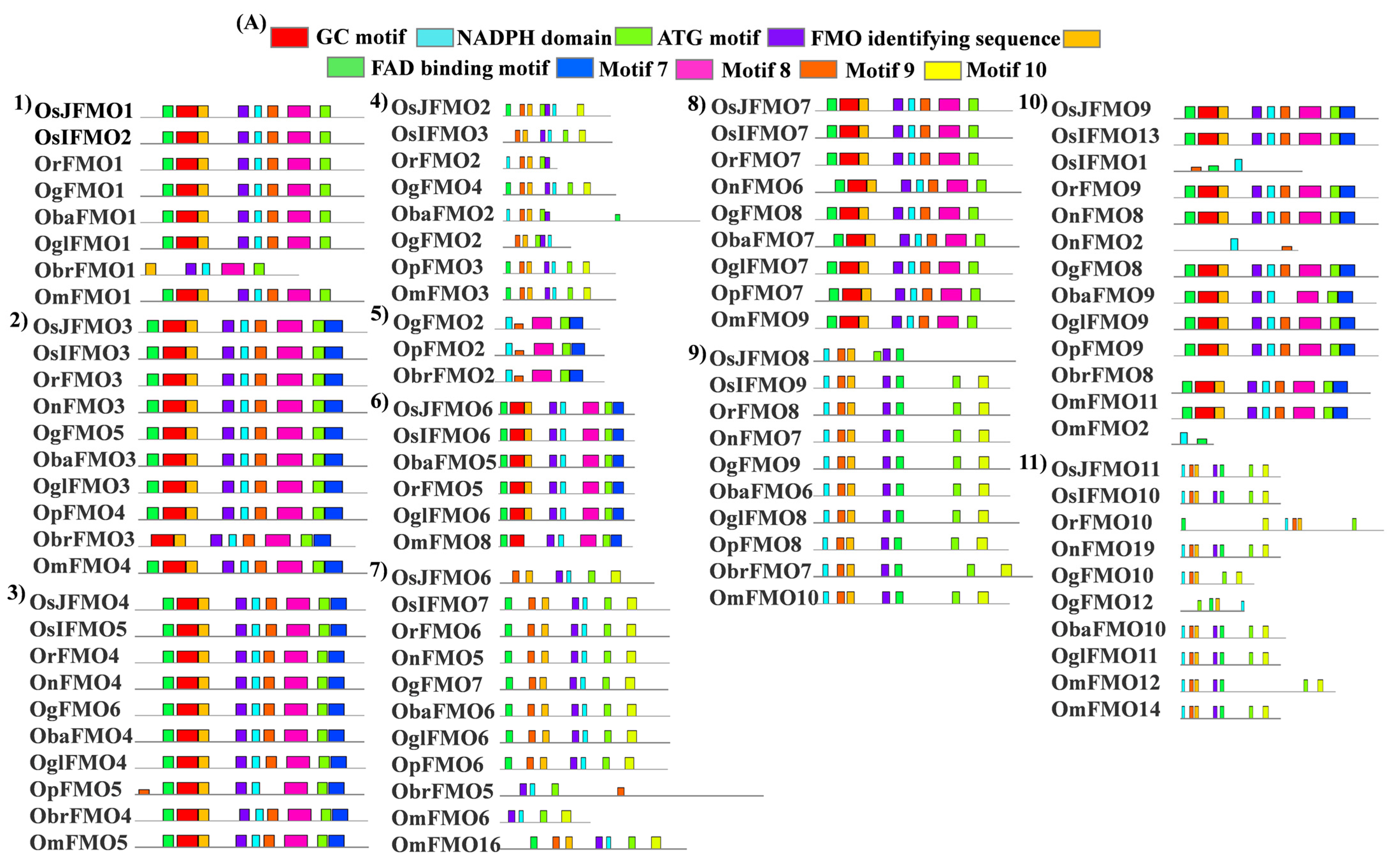 Ijms 24 04190 g004a Ijms 24 04190 g004a