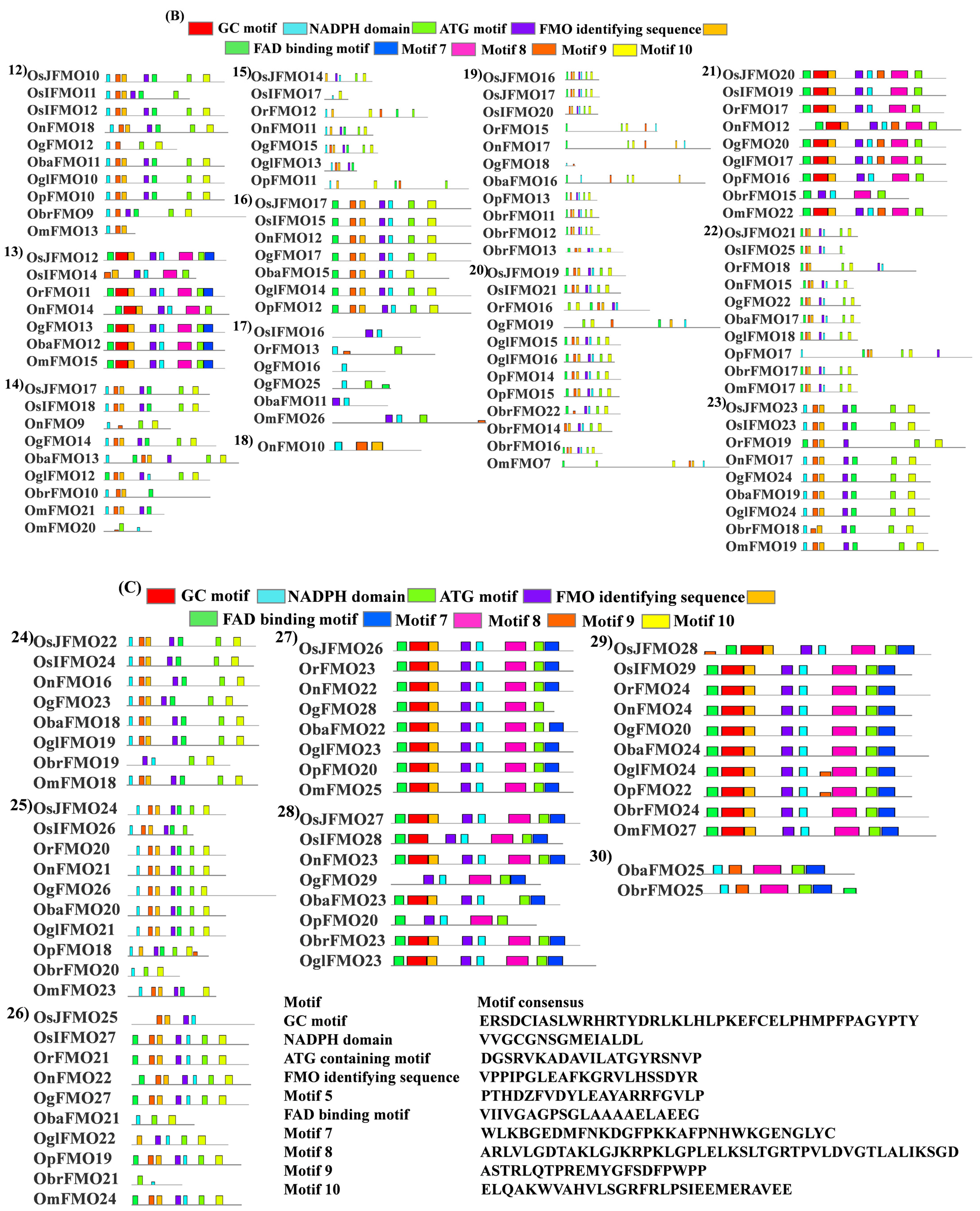 Ijms 24 04190 g004b Ijms 24 04190 g004b