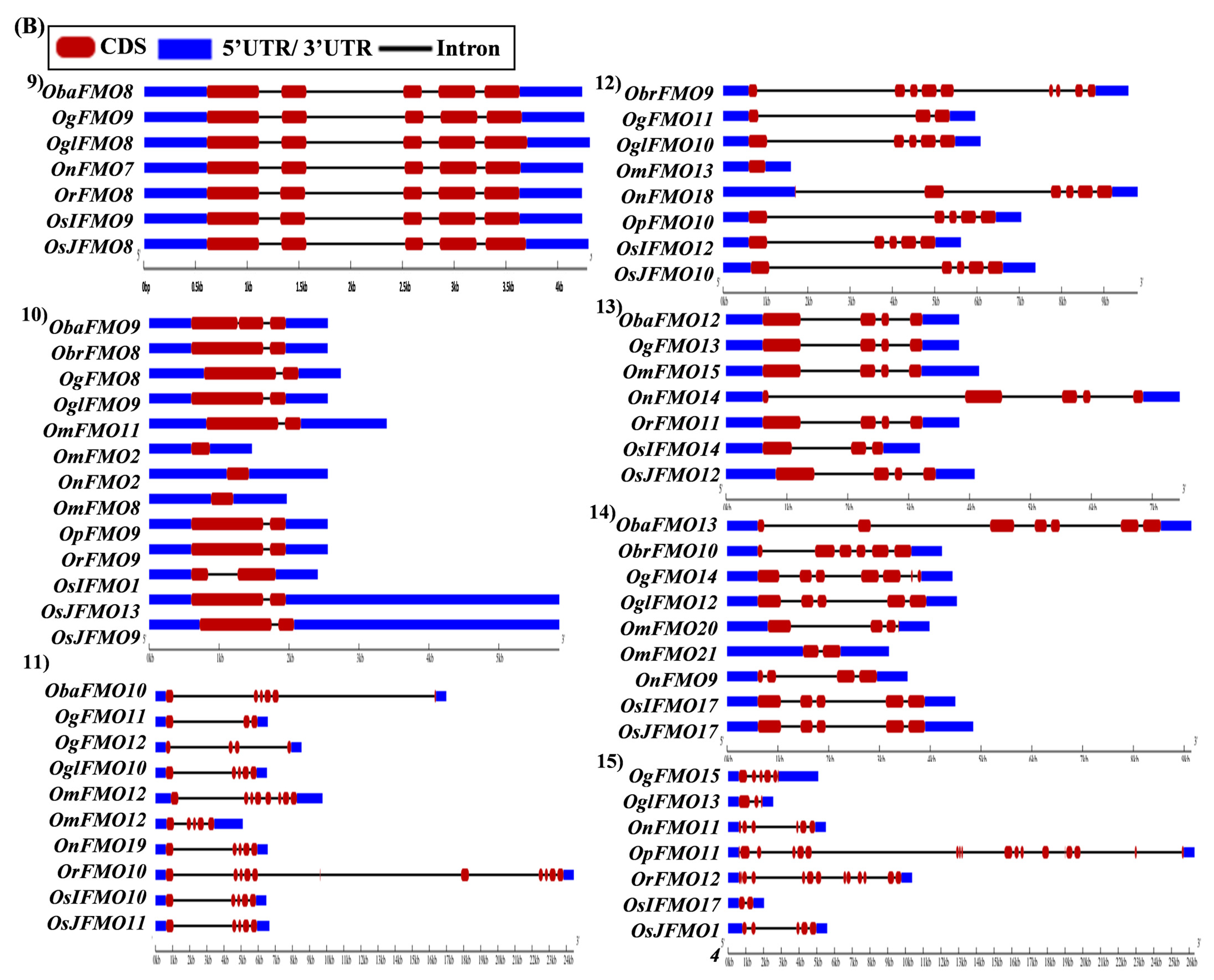 Ijms 24 04190 g005b Ijms 24 04190 g005b