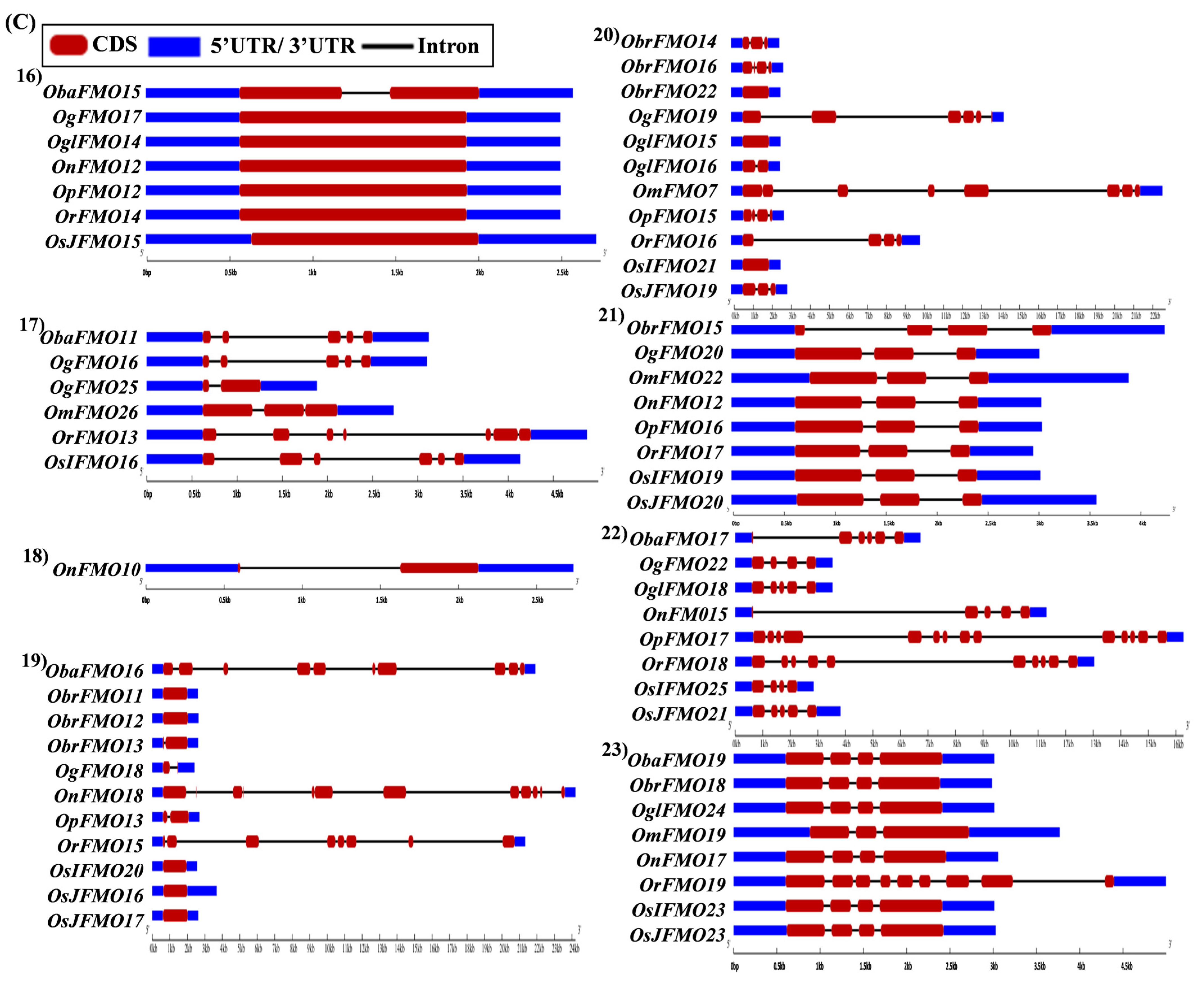 Ijms 24 04190 g005c Ijms 24 04190 g005c