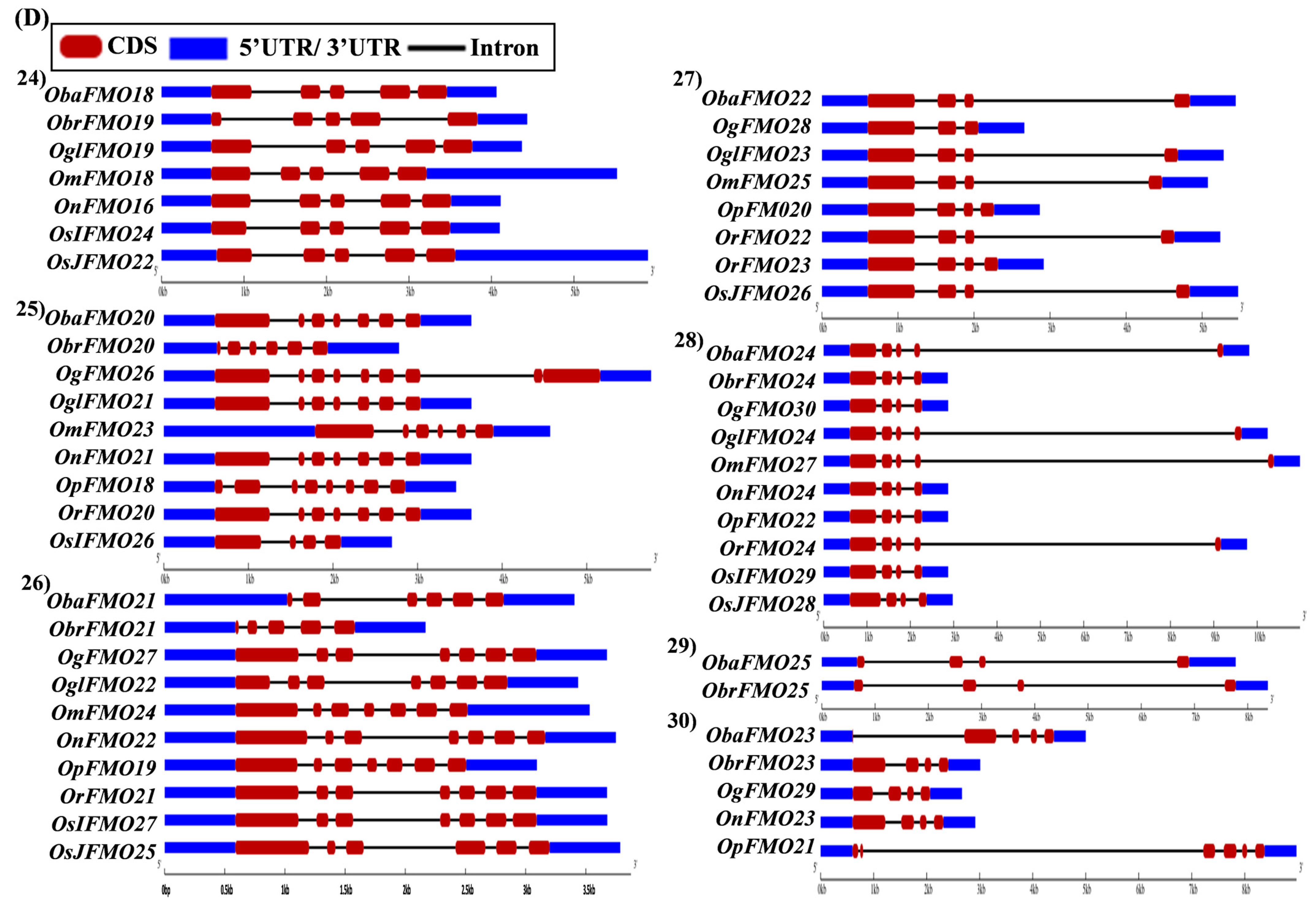Ijms 24 04190 g005d Ijms 24 04190 g005d
