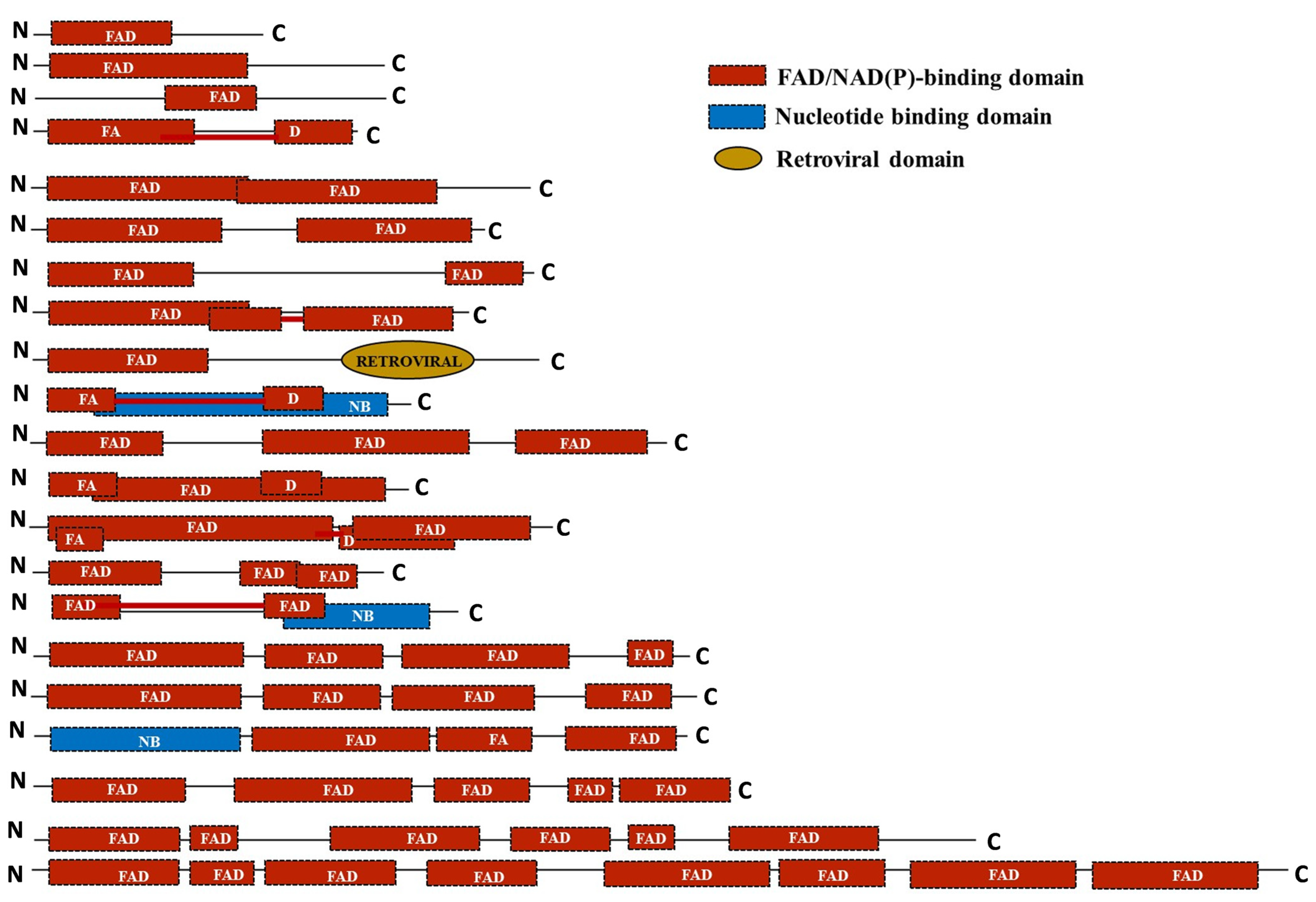 Ijms 24 04190 g006 Ijms 24 04190 g006