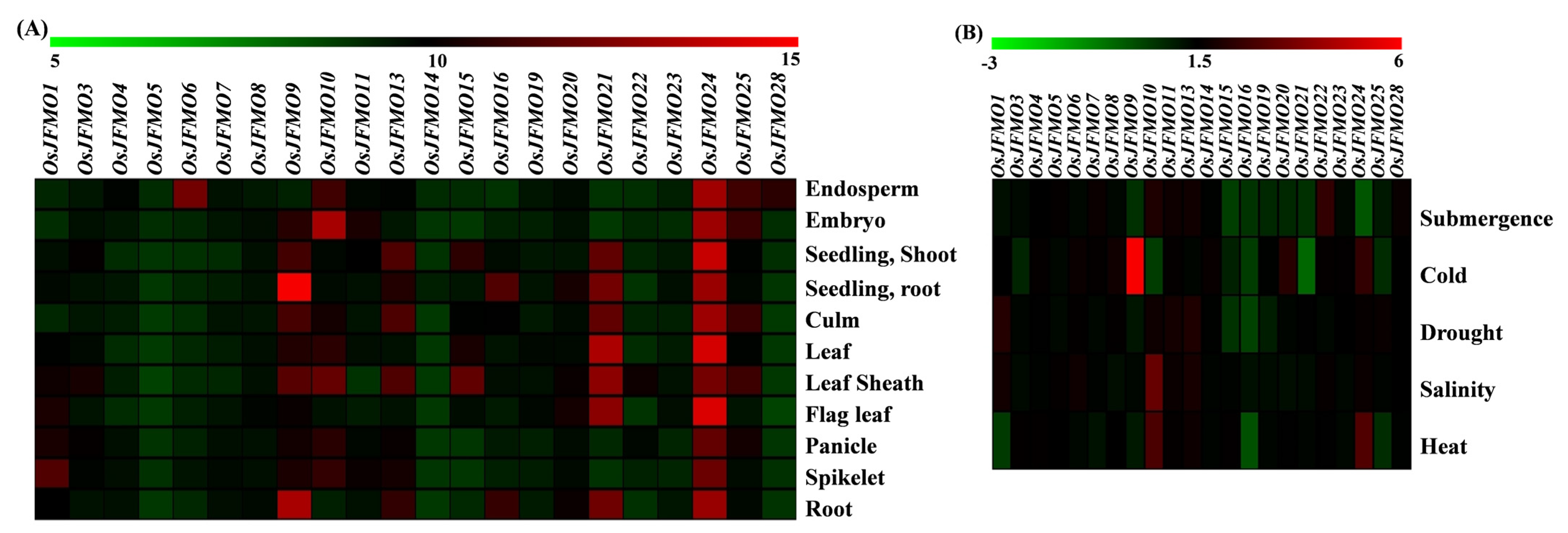 Ijms 24 04190 g007 Ijms 24 04190 g007