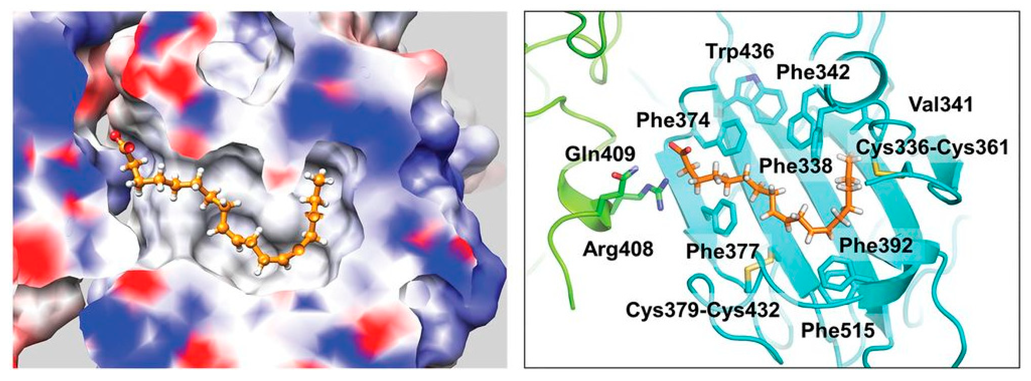 Ijms 24 04192 g001 Ijms 24 04192 g001