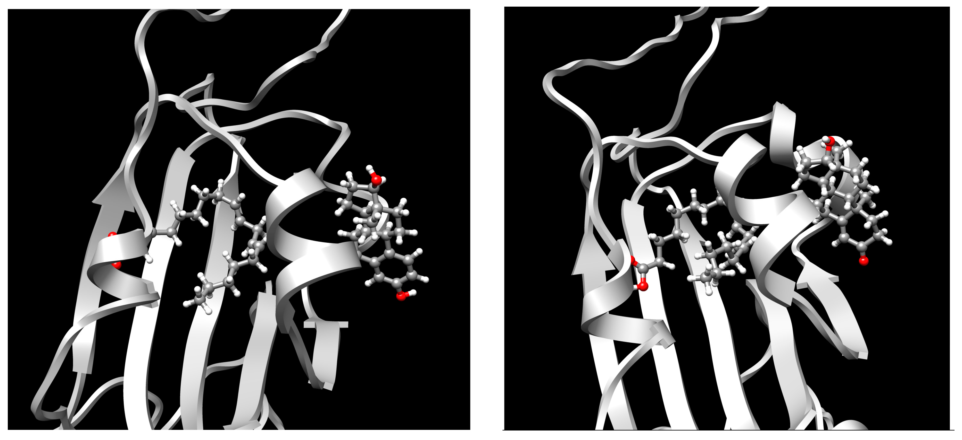 Ijms 24 04192 g005 Ijms 24 04192 g005