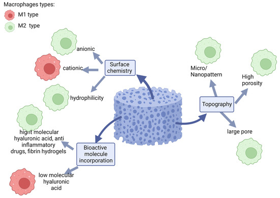 健康・医学 BIOCERAM POROUS IMPLANT Interaction of Ceramic Implant Materials with Immune System