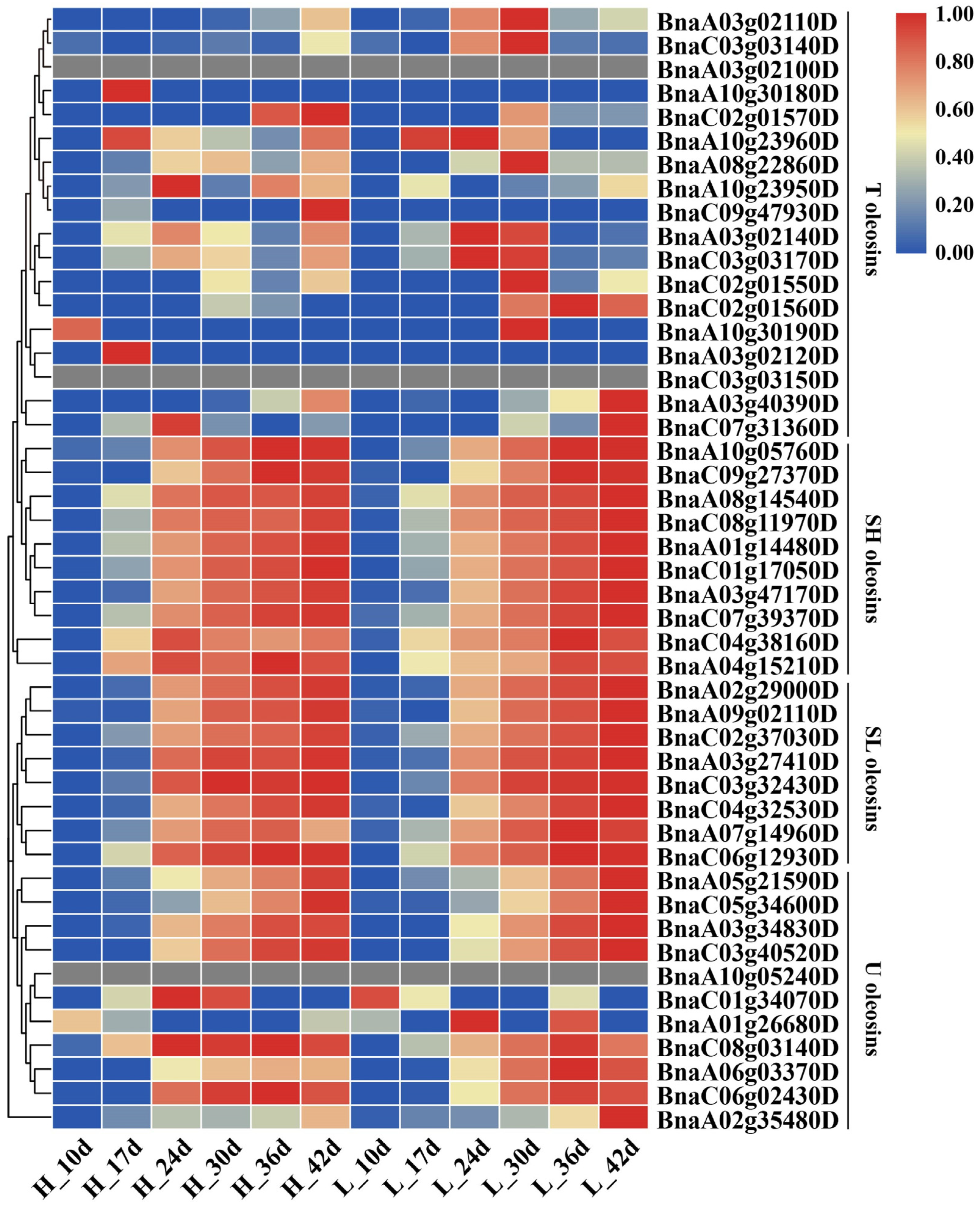 Ijms 24 04201 g005 Ijms 24 04201 g005