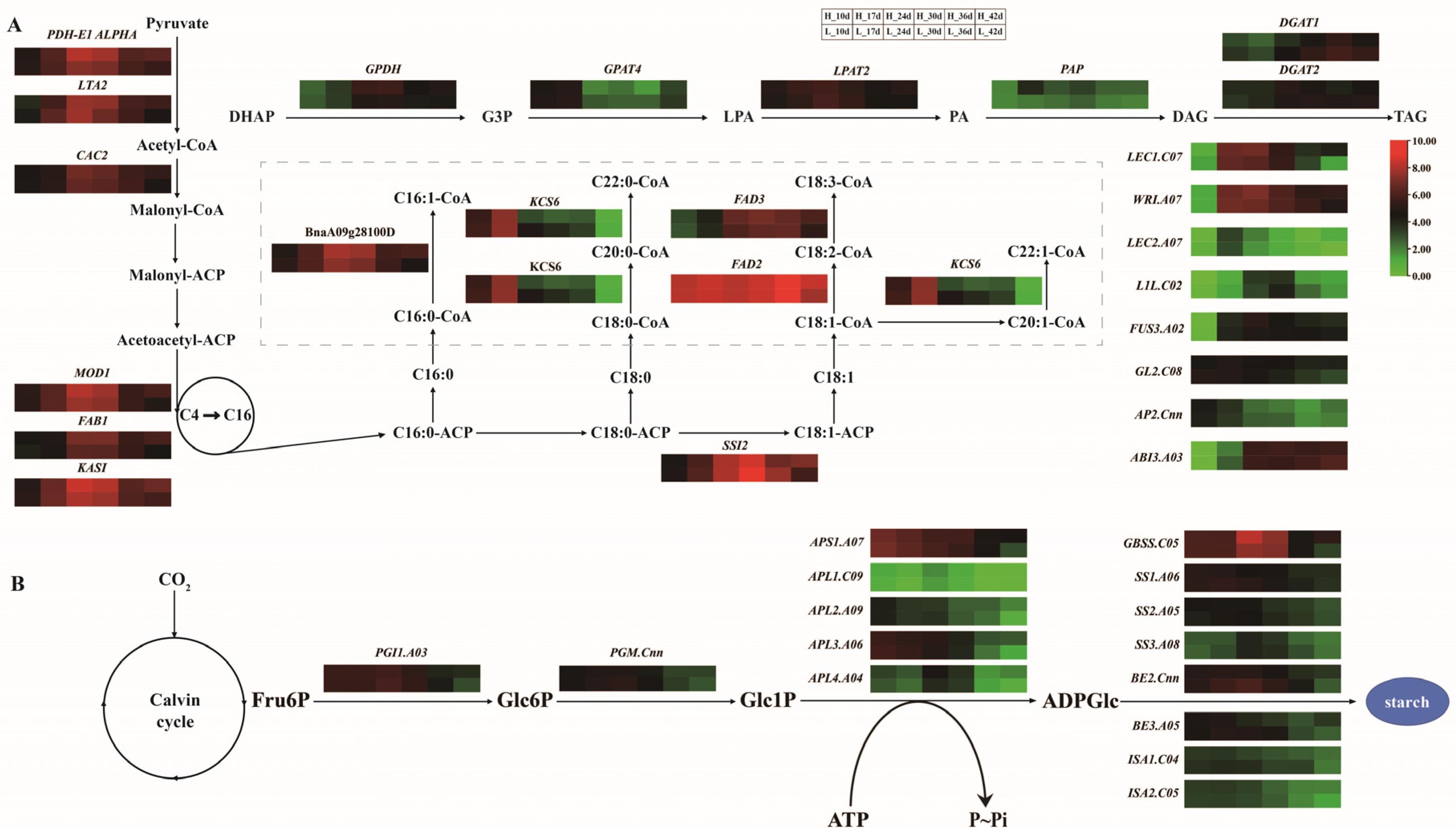 Ijms 24 04201 g006 Ijms 24 04201 g006