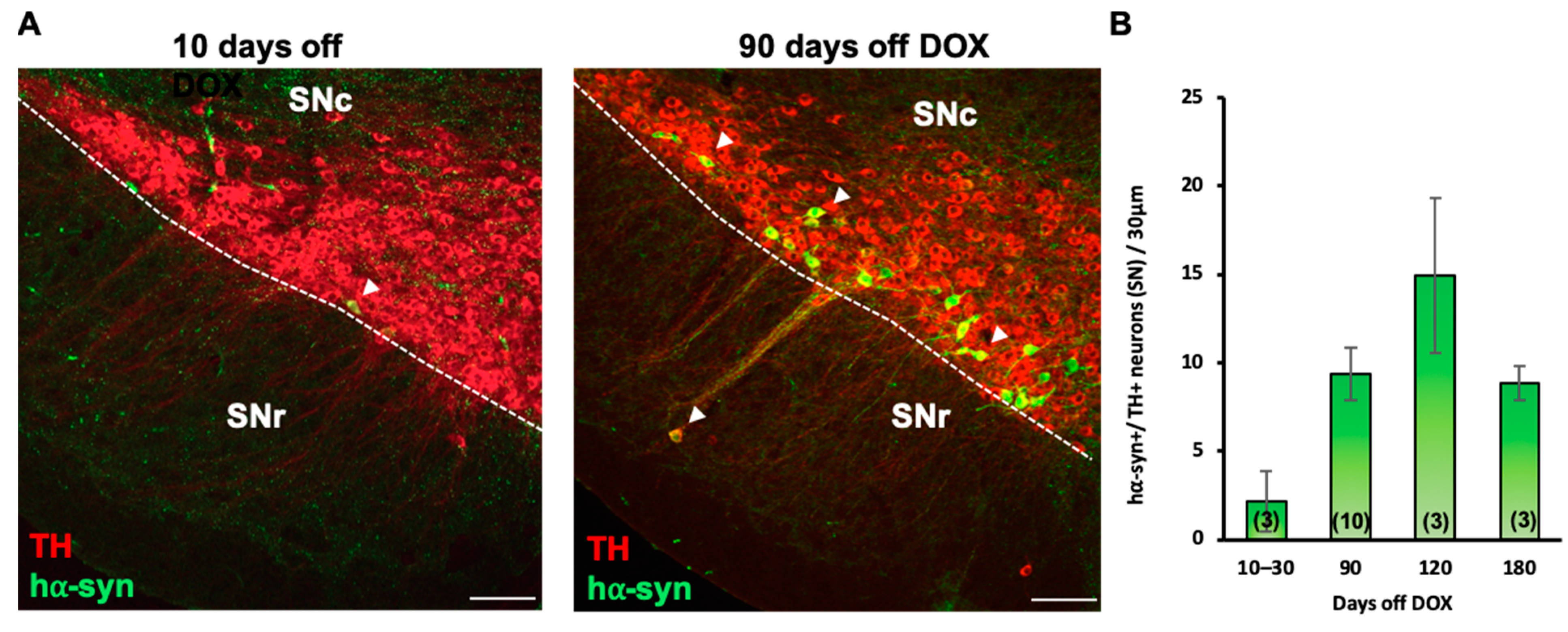 Ijms 24 04204 g001 Ijms 24 04204 g001