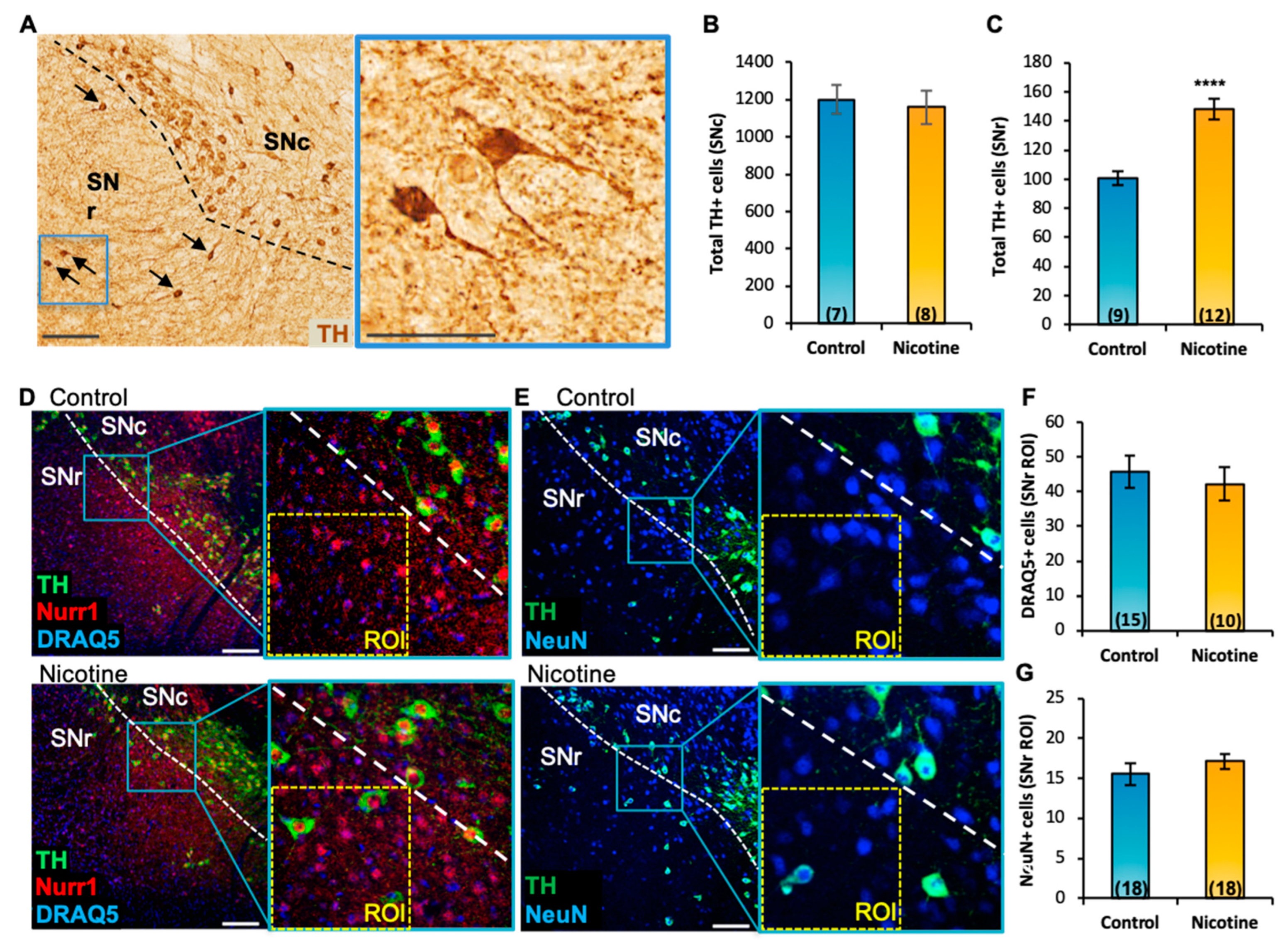 Ijms 24 04204 g003 Ijms 24 04204 g003