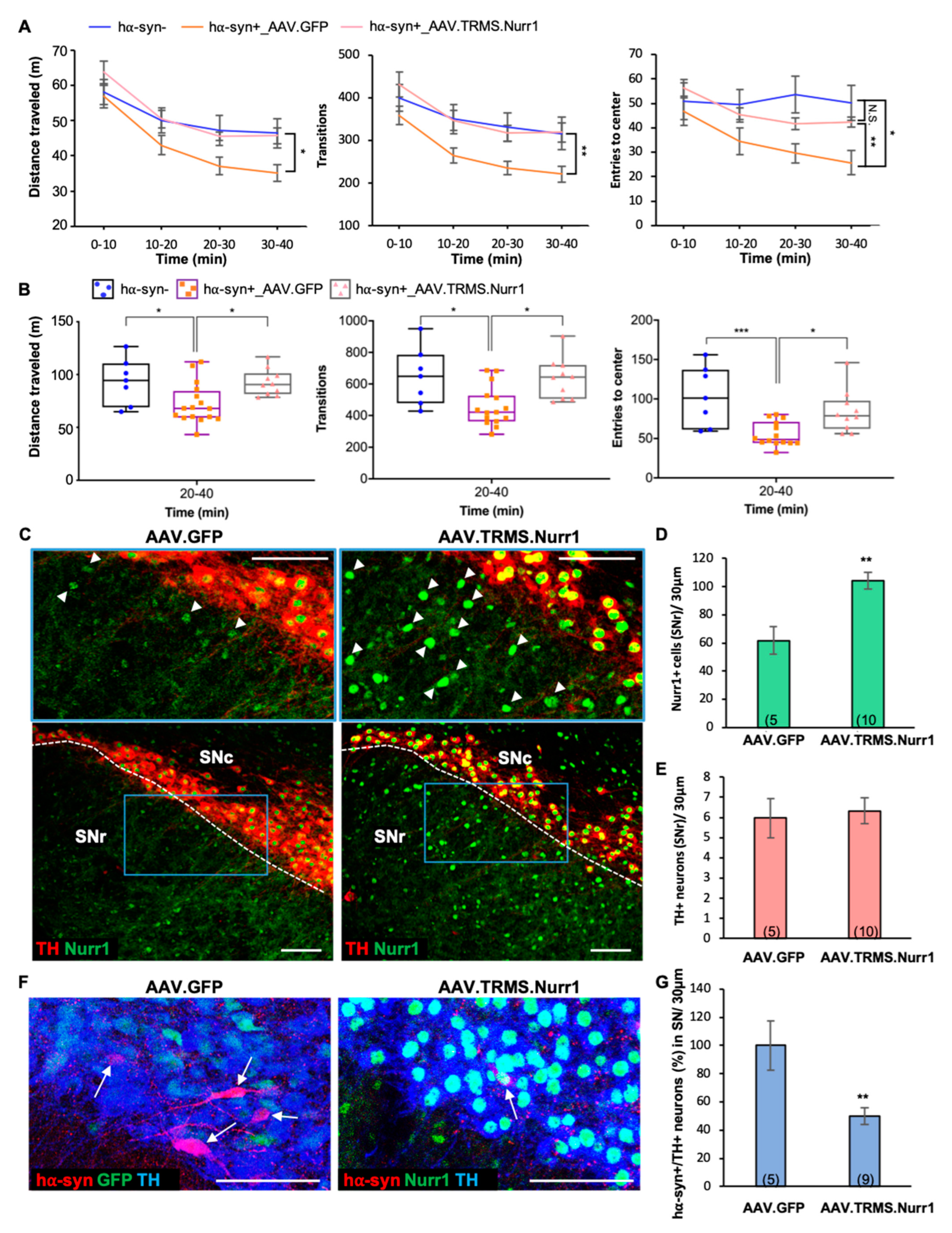 Ijms 24 04204 g007 Ijms 24 04204 g007