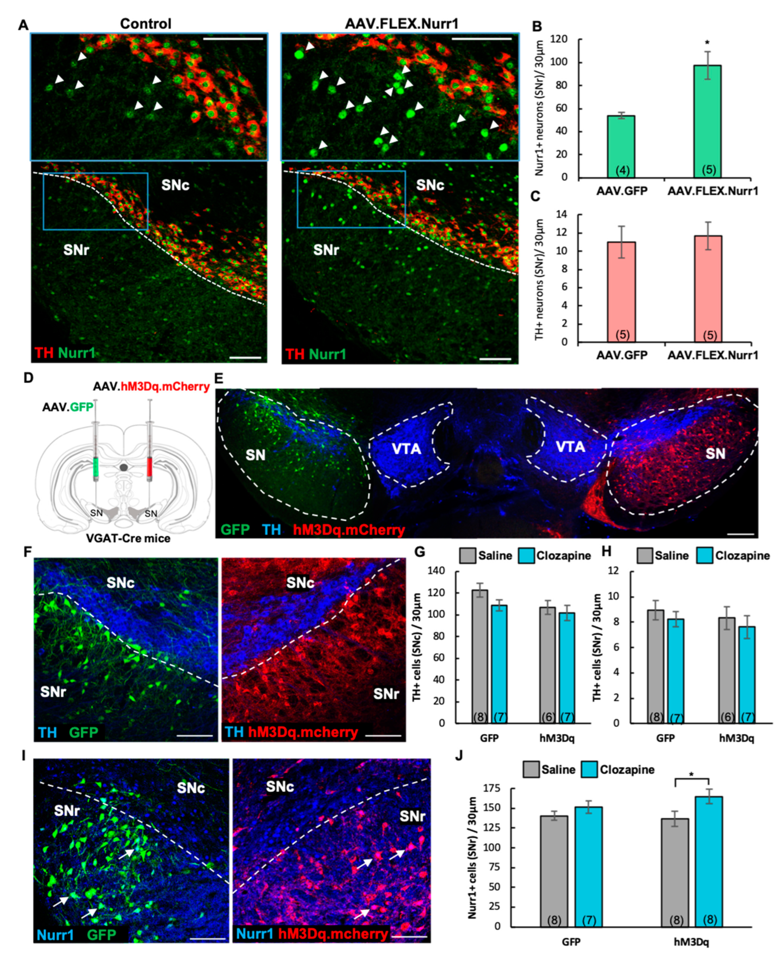 Ijms 24 04204 g008 Ijms 24 04204 g008