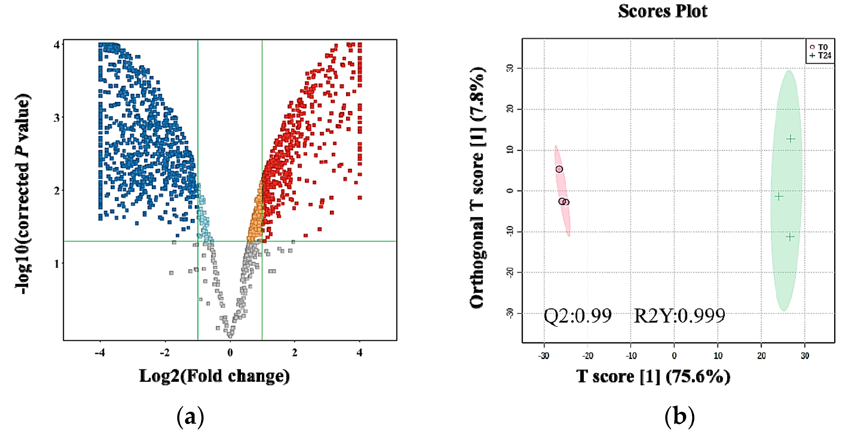 Ijms 24 04219 g005 Ijms 24 04219 g005