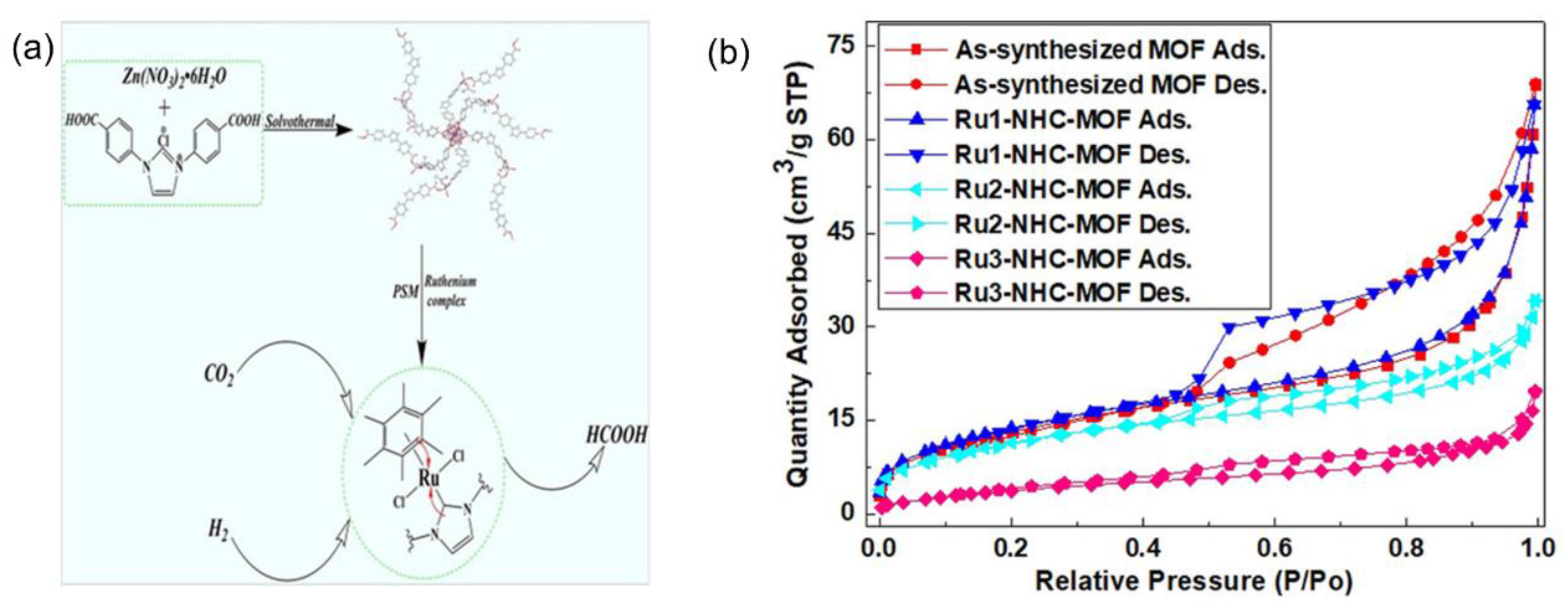 Ijms 24 04228 g002 Ijms 24 04228 g002
