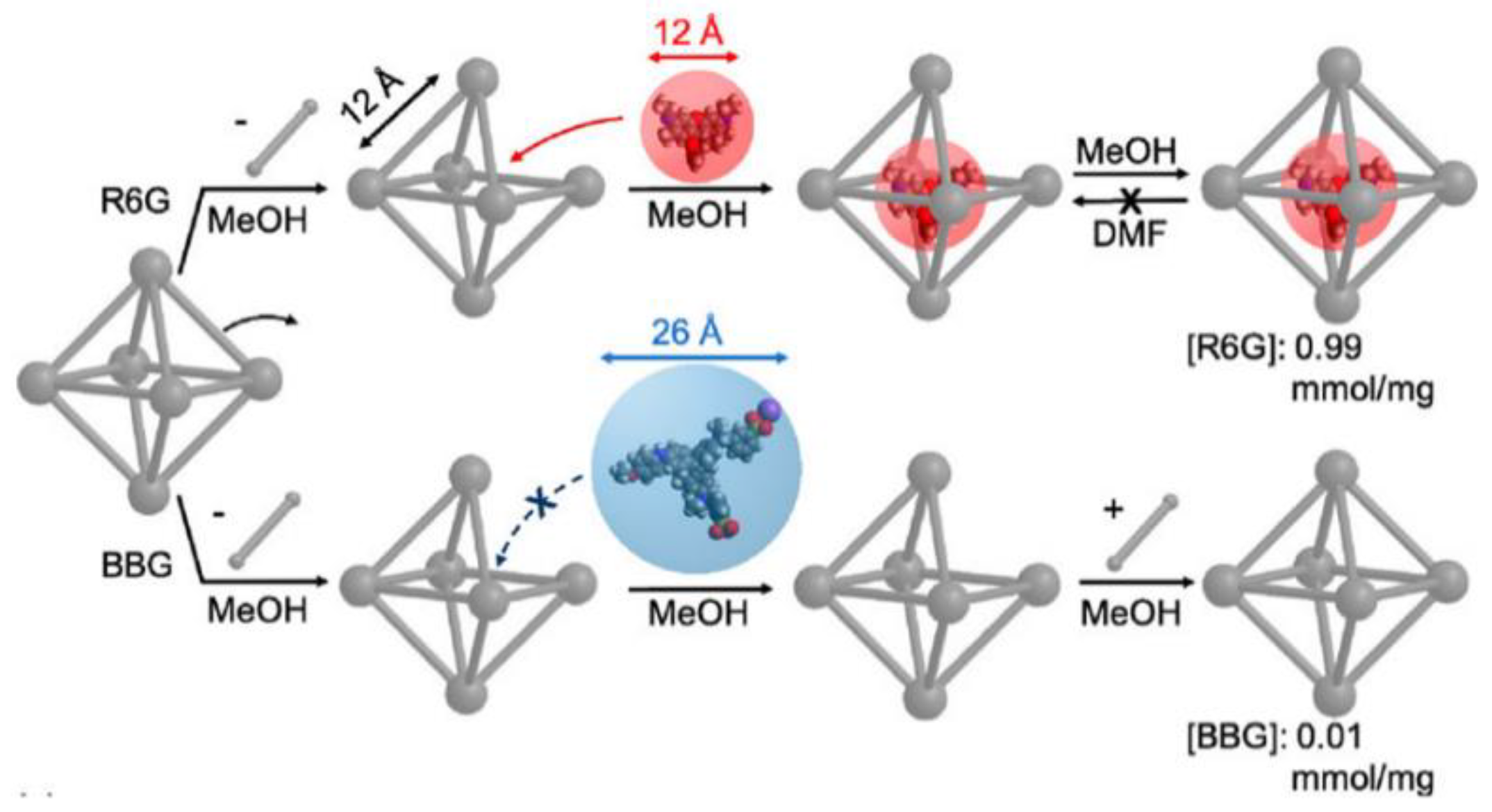 Ijms 24 04228 g003 Ijms 24 04228 g003