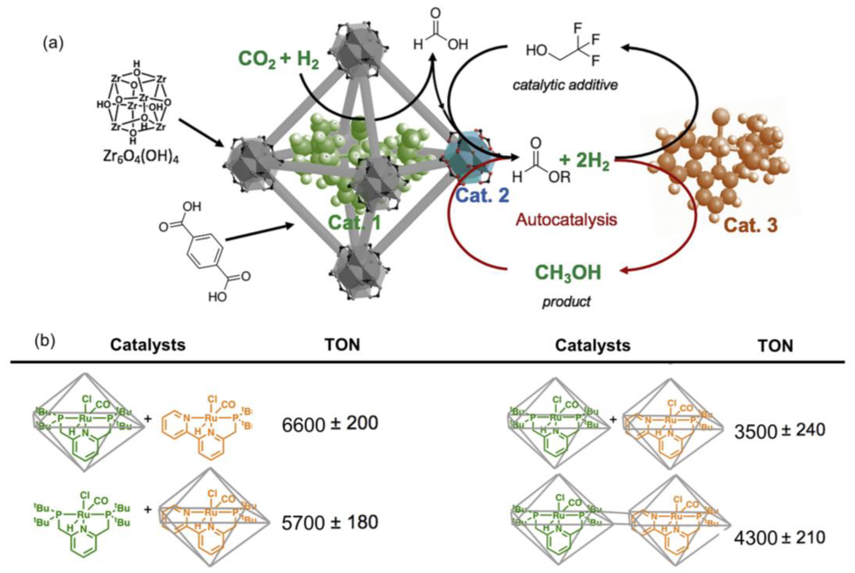 Ijms 24 04228 g004 Ijms 24 04228 g004