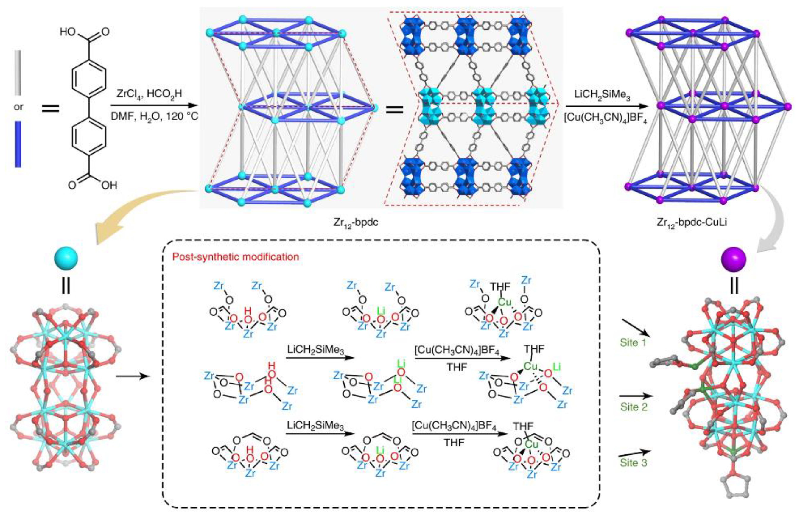 Ijms 24 04228 g008 Ijms 24 04228 g008
