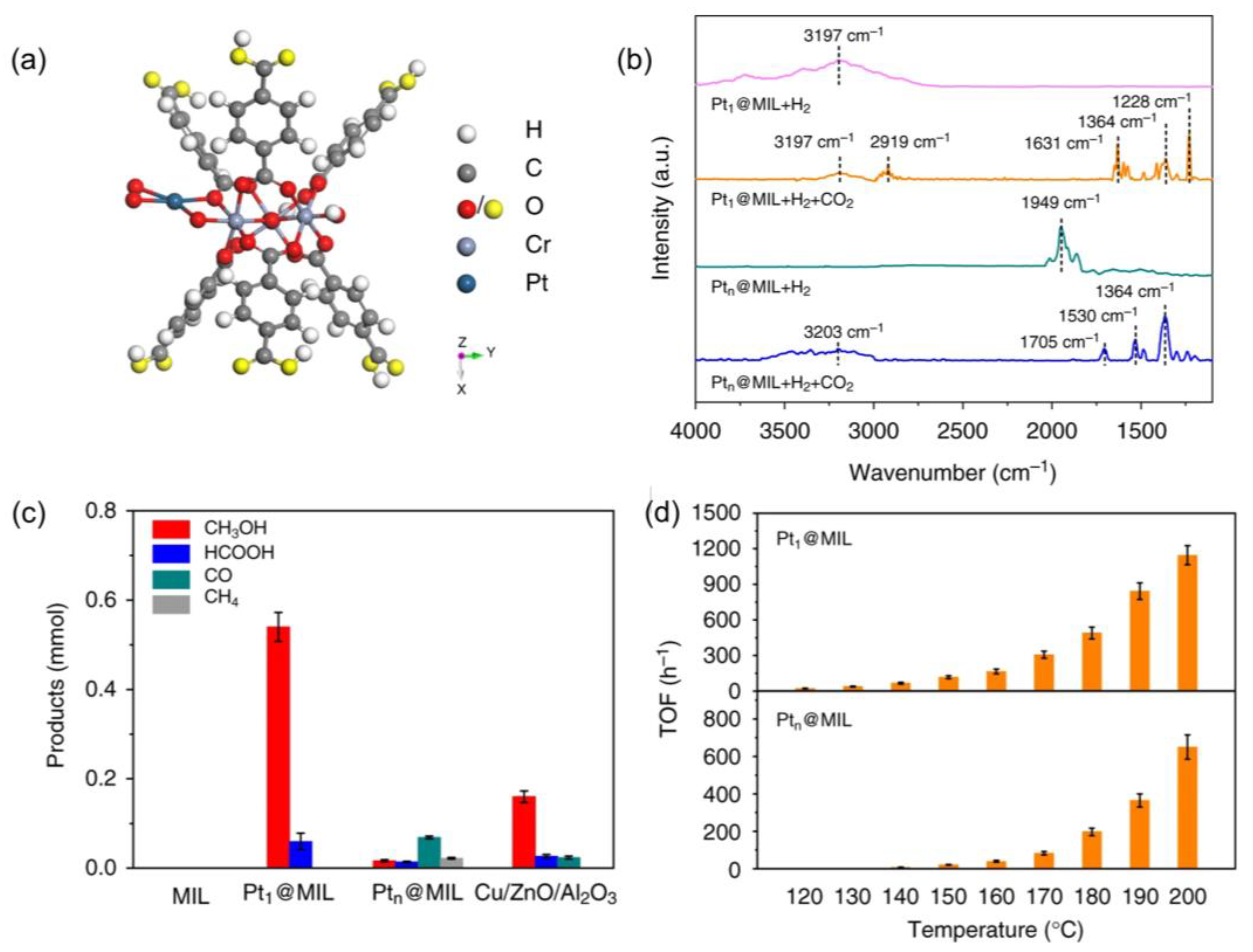 Ijms 24 04228 g010 Ijms 24 04228 g010