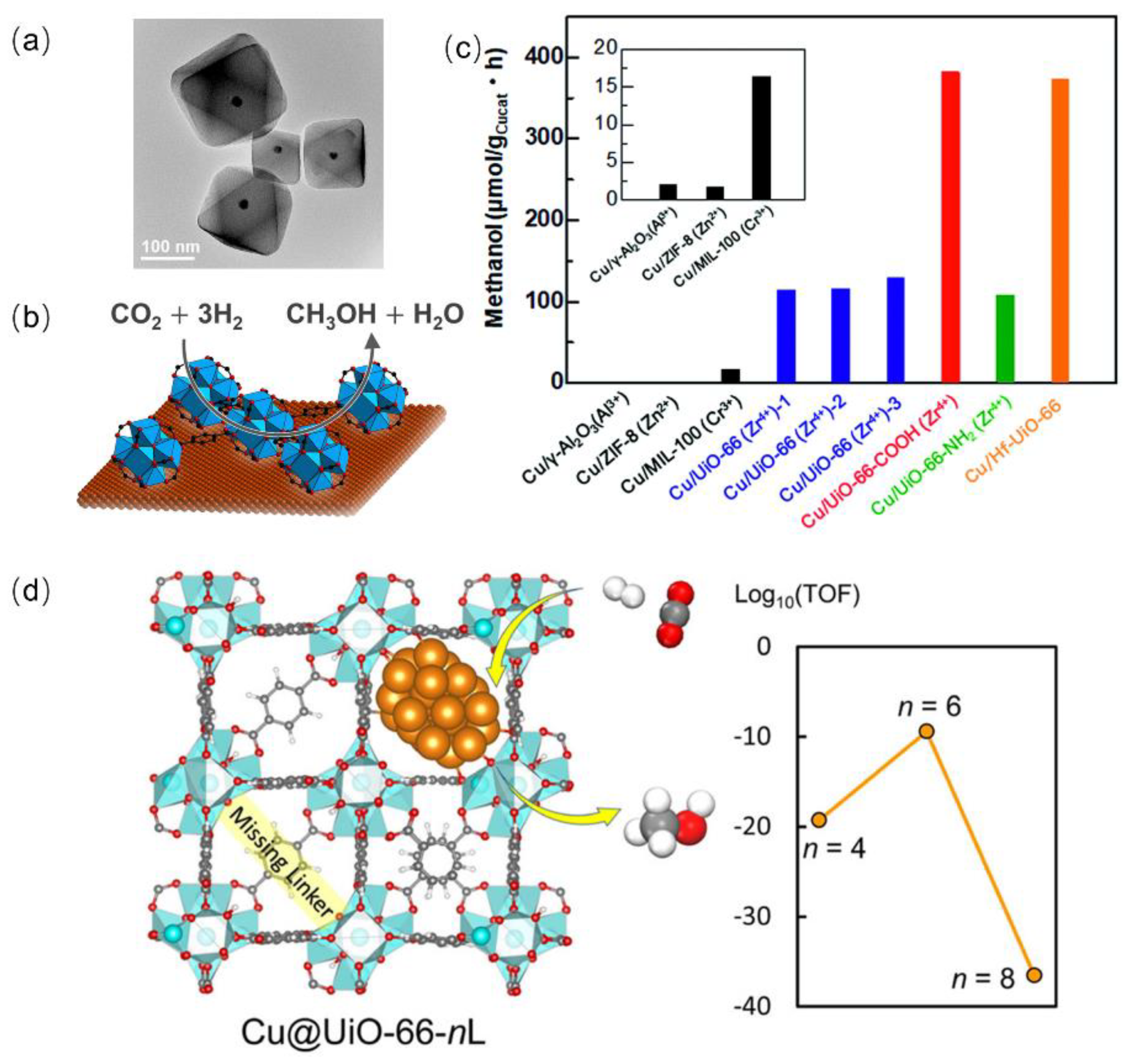 Ijms 24 04228 g011 Ijms 24 04228 g011