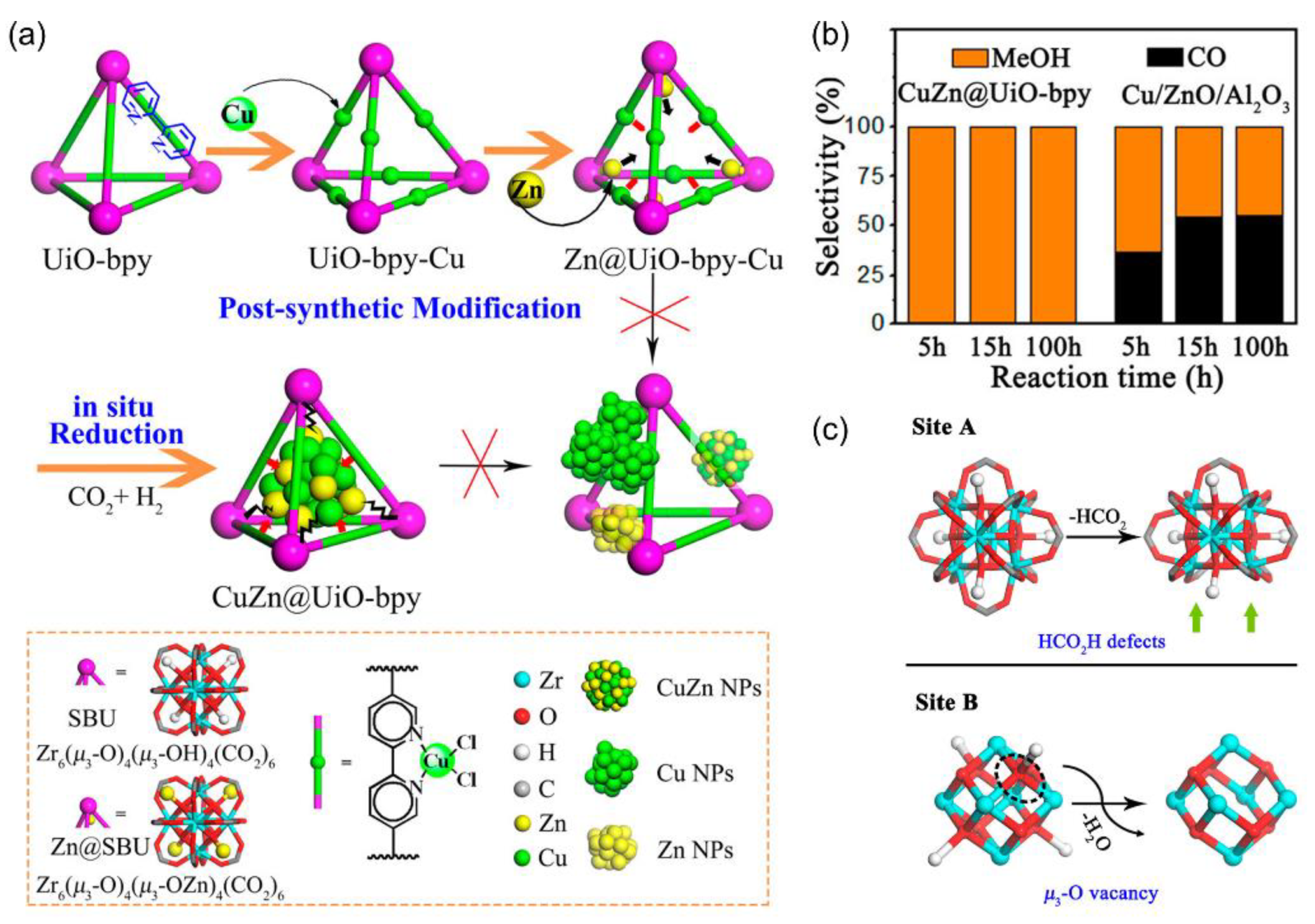 Ijms 24 04228 g012 Ijms 24 04228 g012