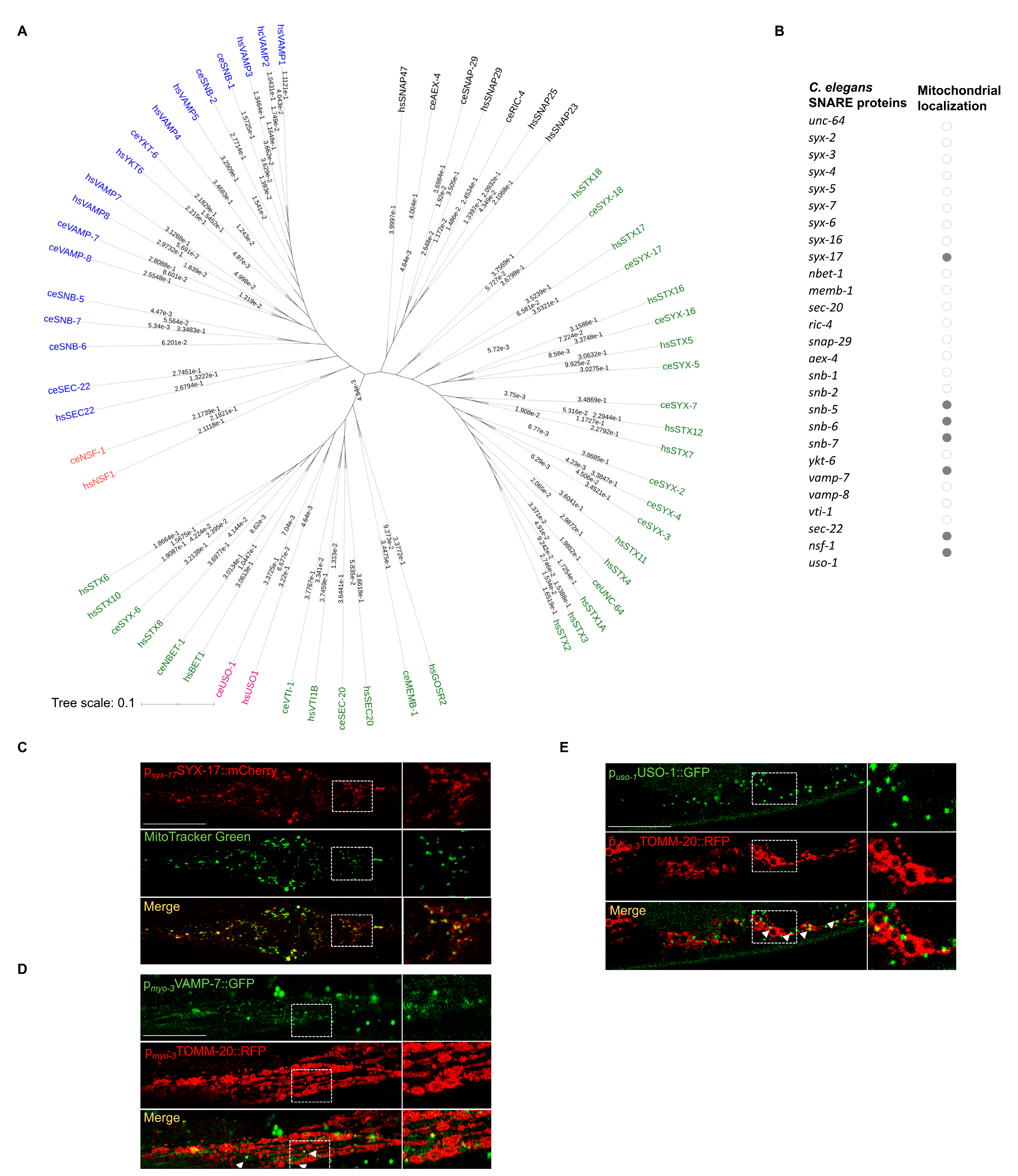 Ijms 24 04230 g001 Ijms 24 04230 g001