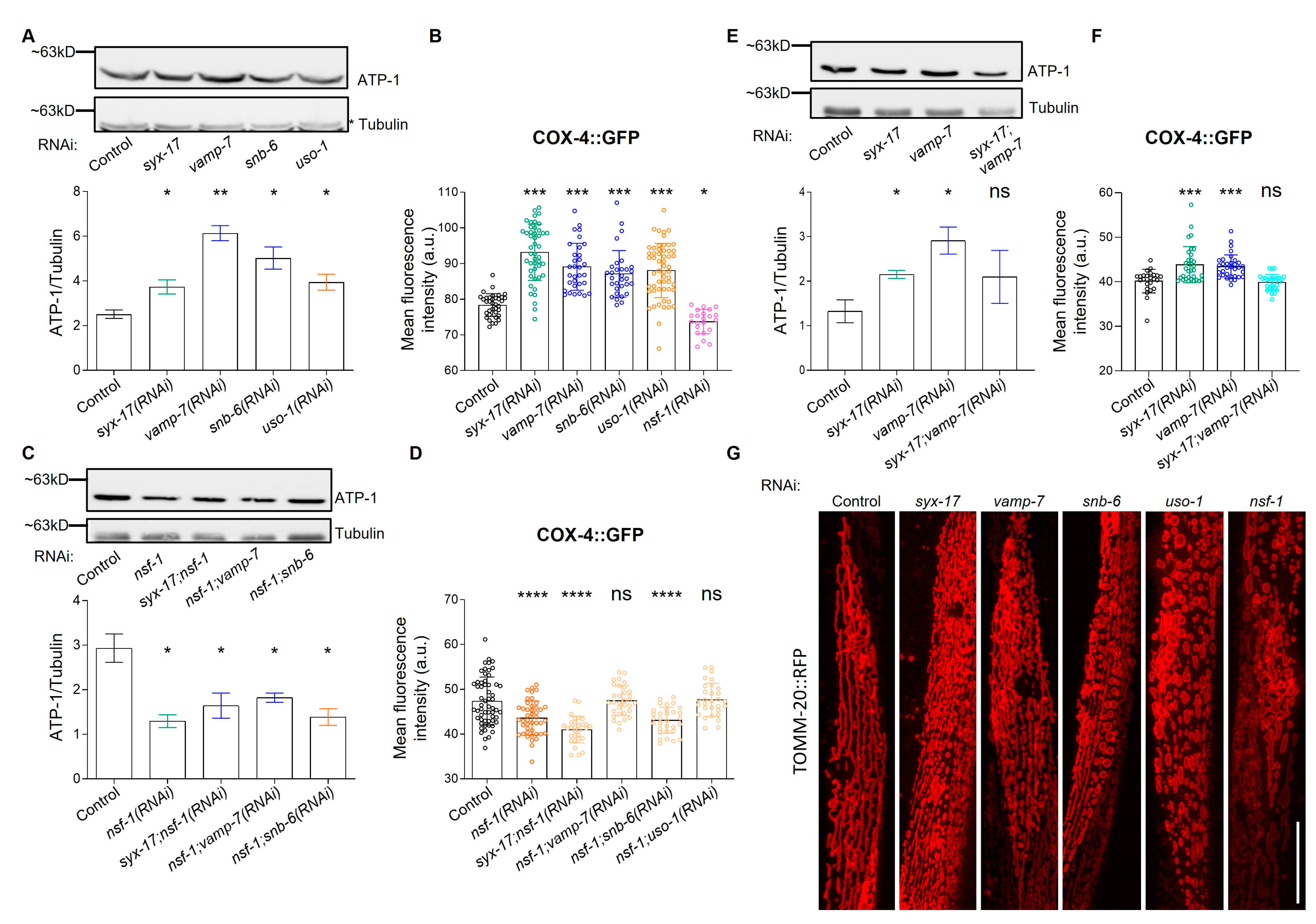 Ijms 24 04230 g002 Ijms 24 04230 g002