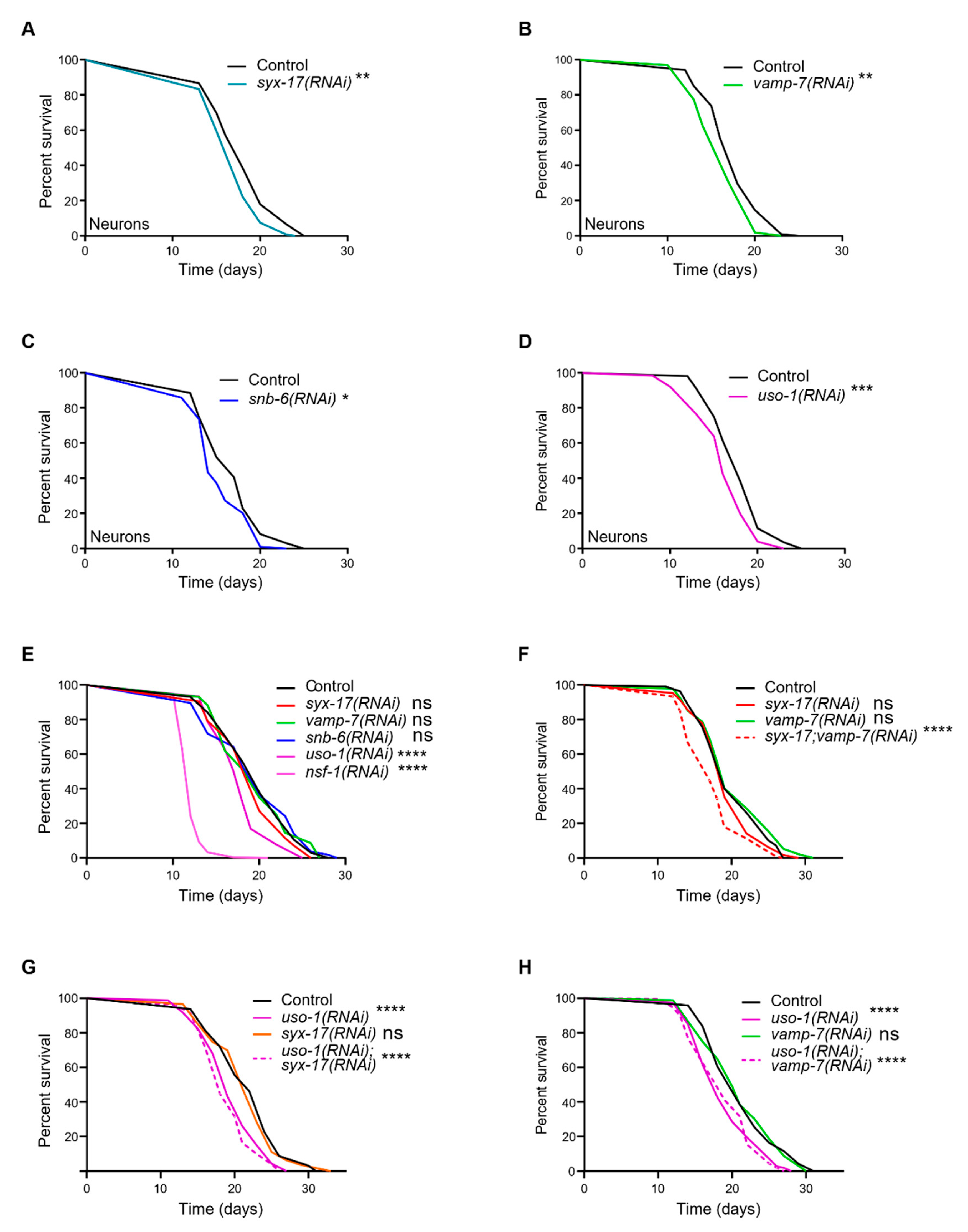 Ijms 24 04230 g005 Ijms 24 04230 g005
