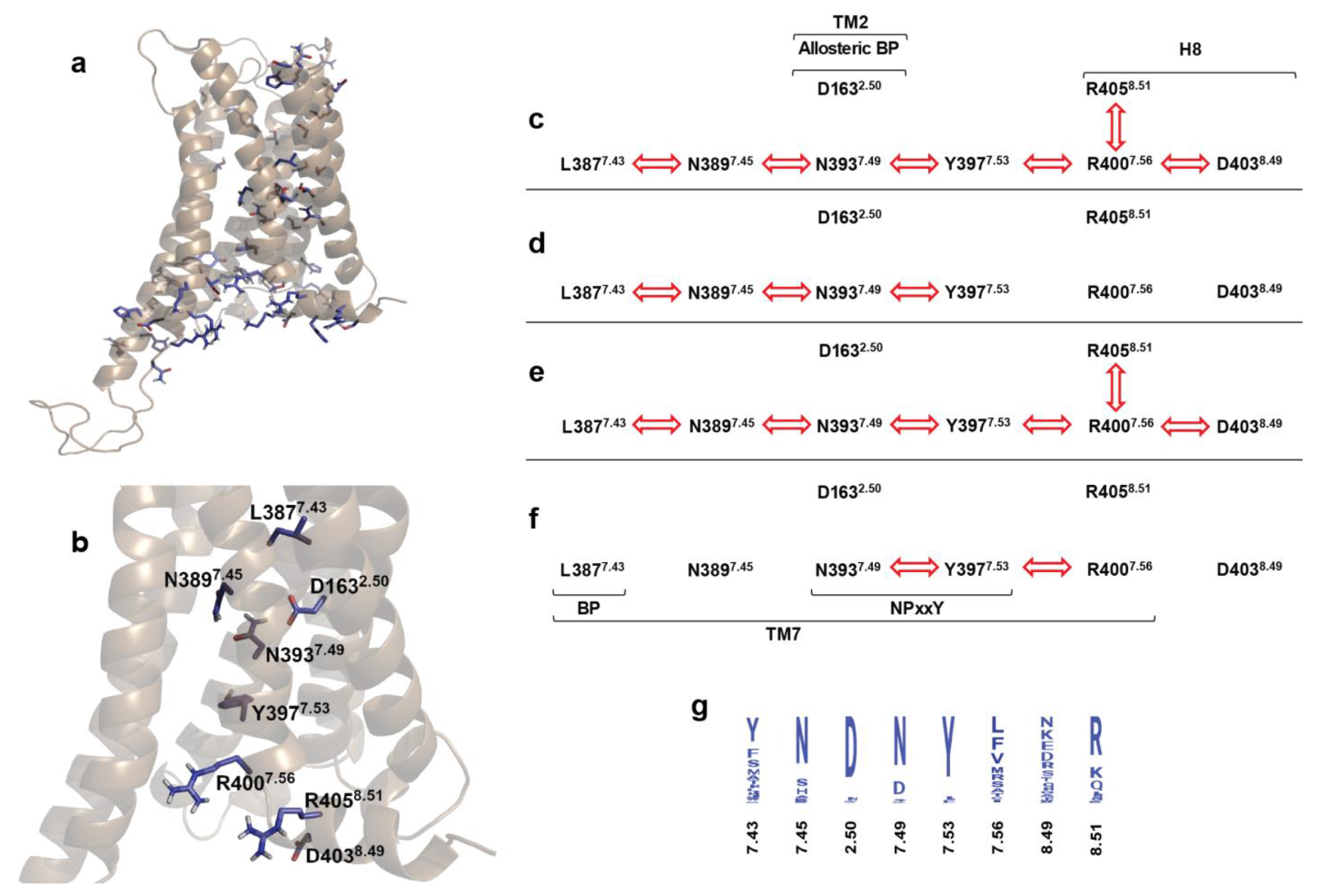 Ijms 24 04232 g004 Ijms 24 04232 g004