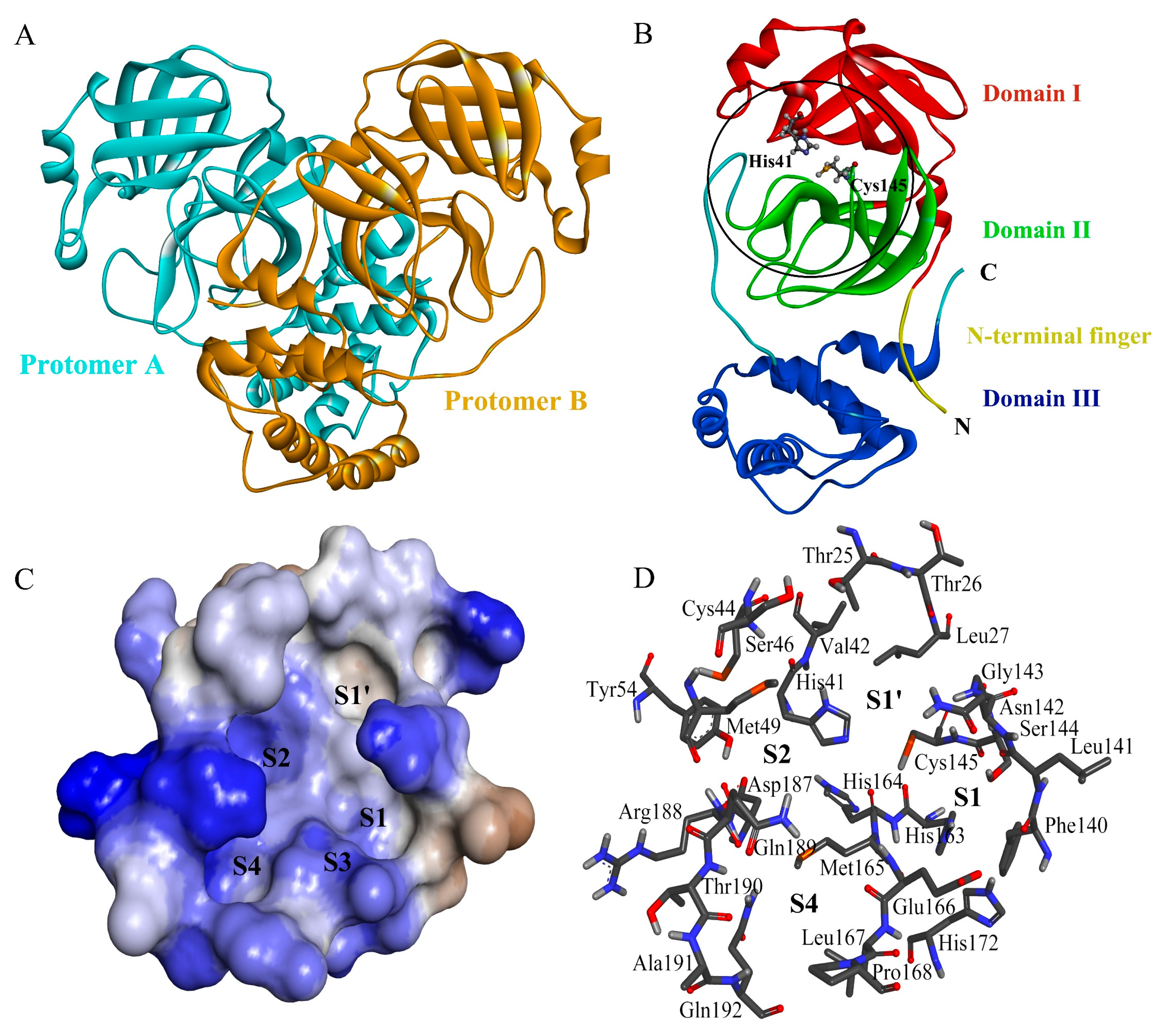 Potent Noncovalent Inhibitors of the Main Protease of SARS-CoV-2